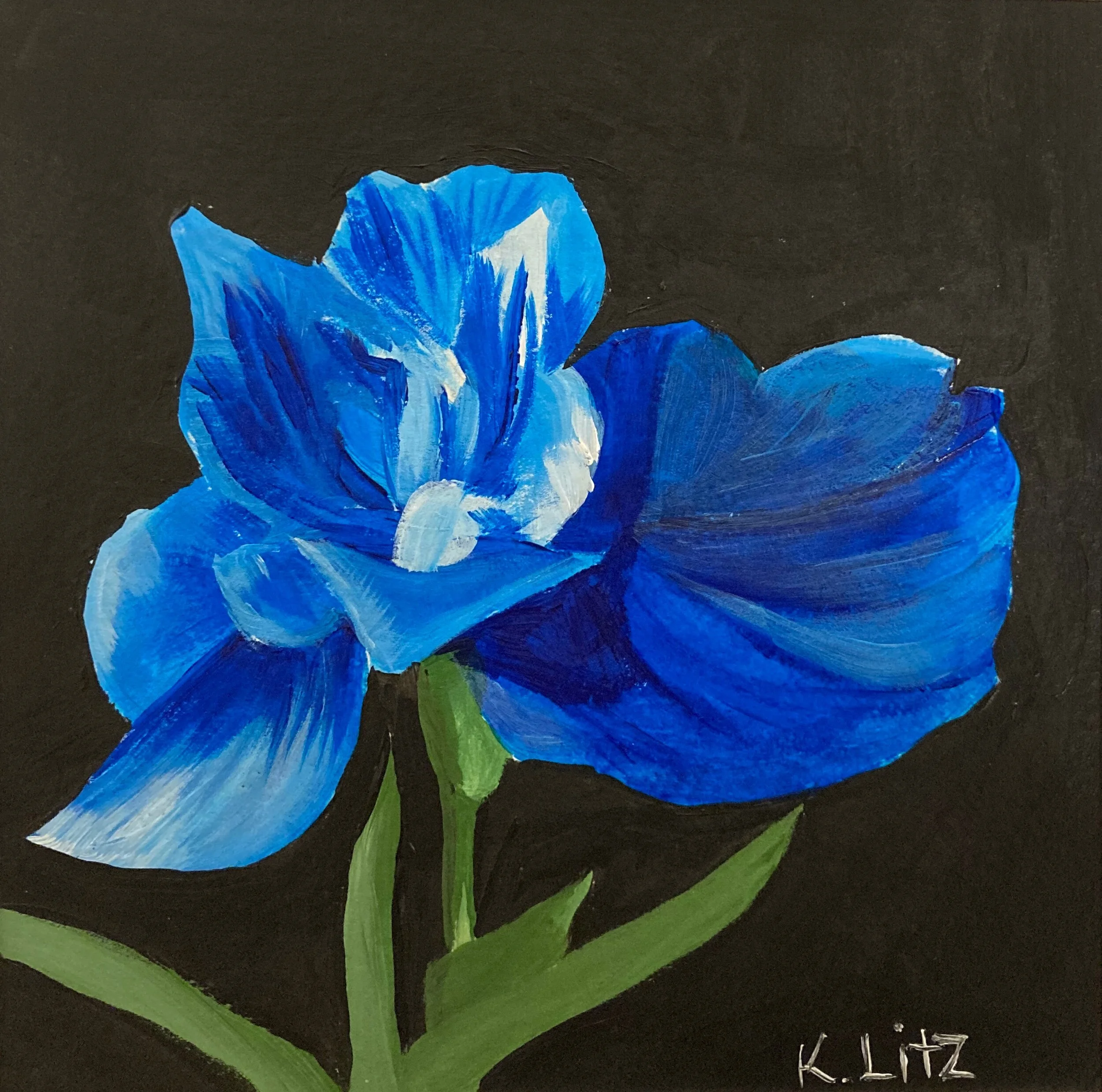 588C7F98-B65C-42BB-B5B5-6909DFCBD7F1