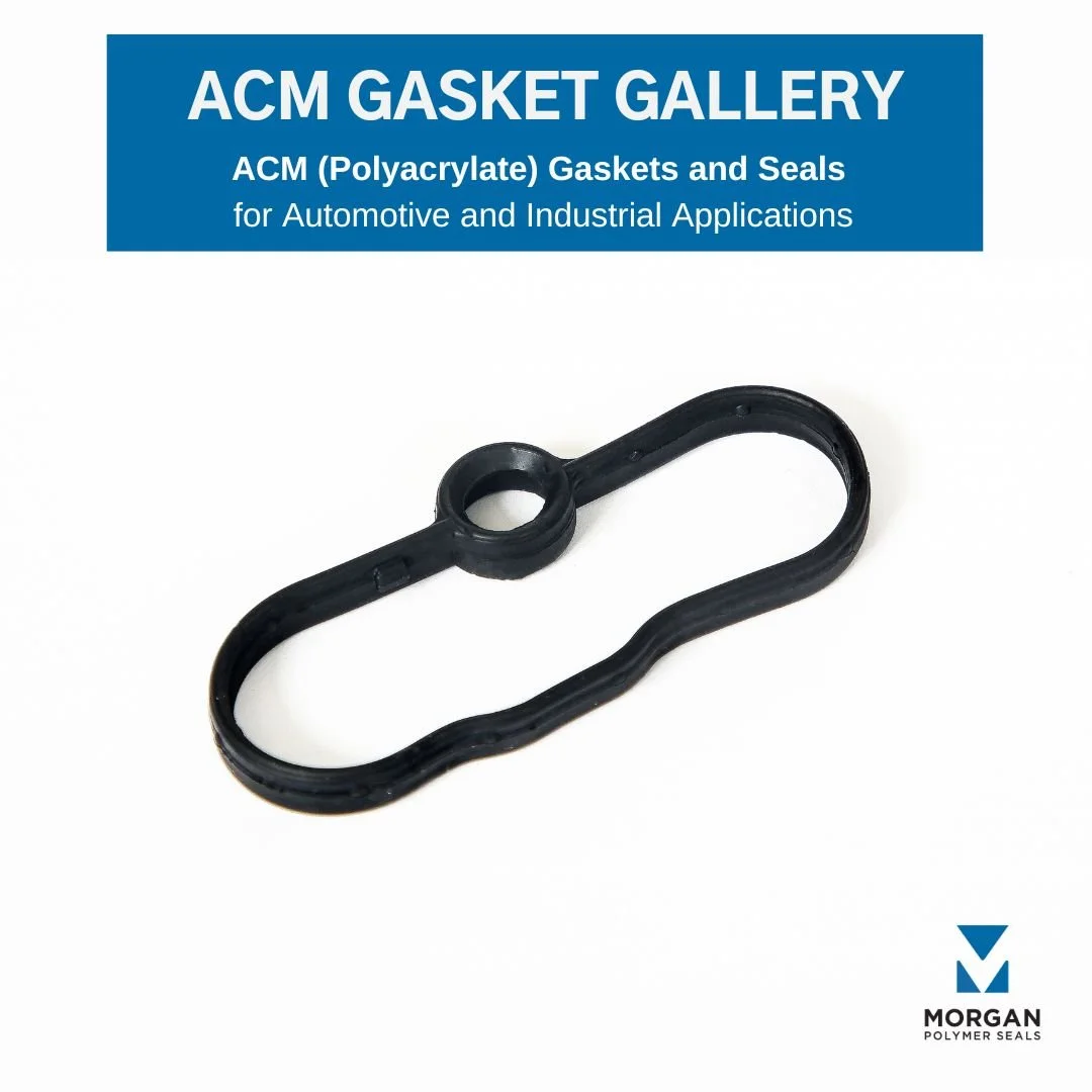 ACM (Polyacrylate) Gasket Gallery