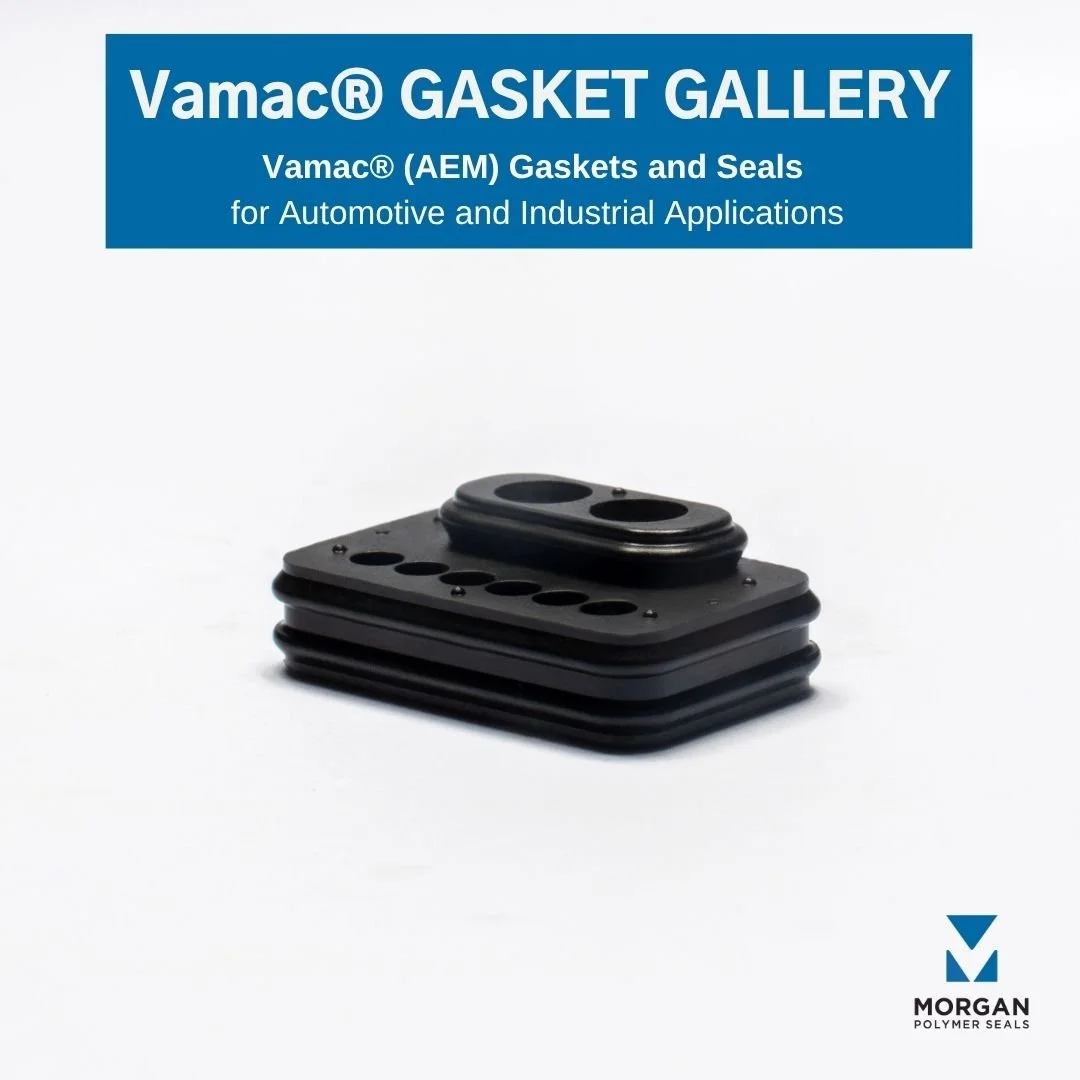 AEM Vamac® Gasket Gallery