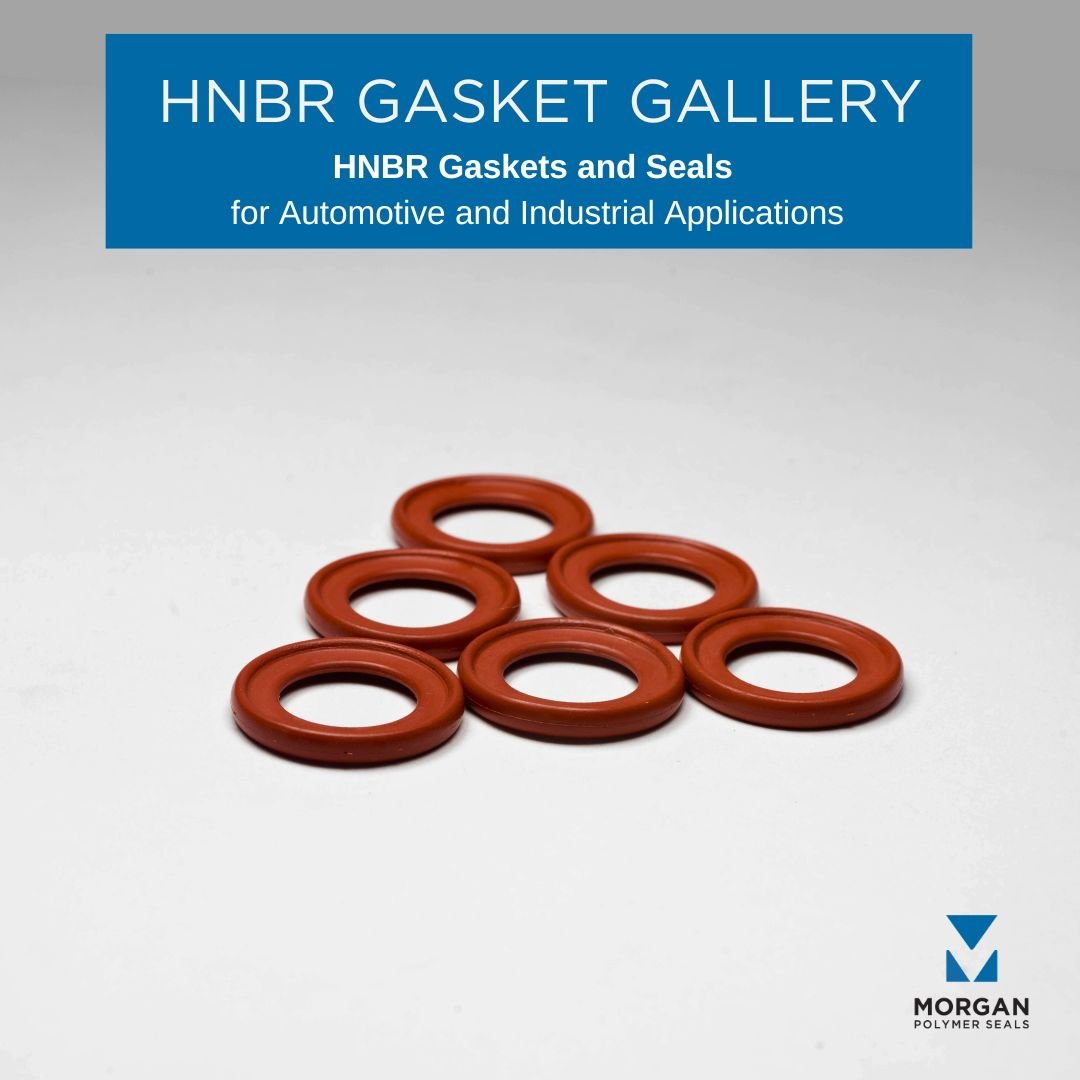 HNBR Gasket Gallery: Durable Seals for Heat, Oil &amp; Fuel
