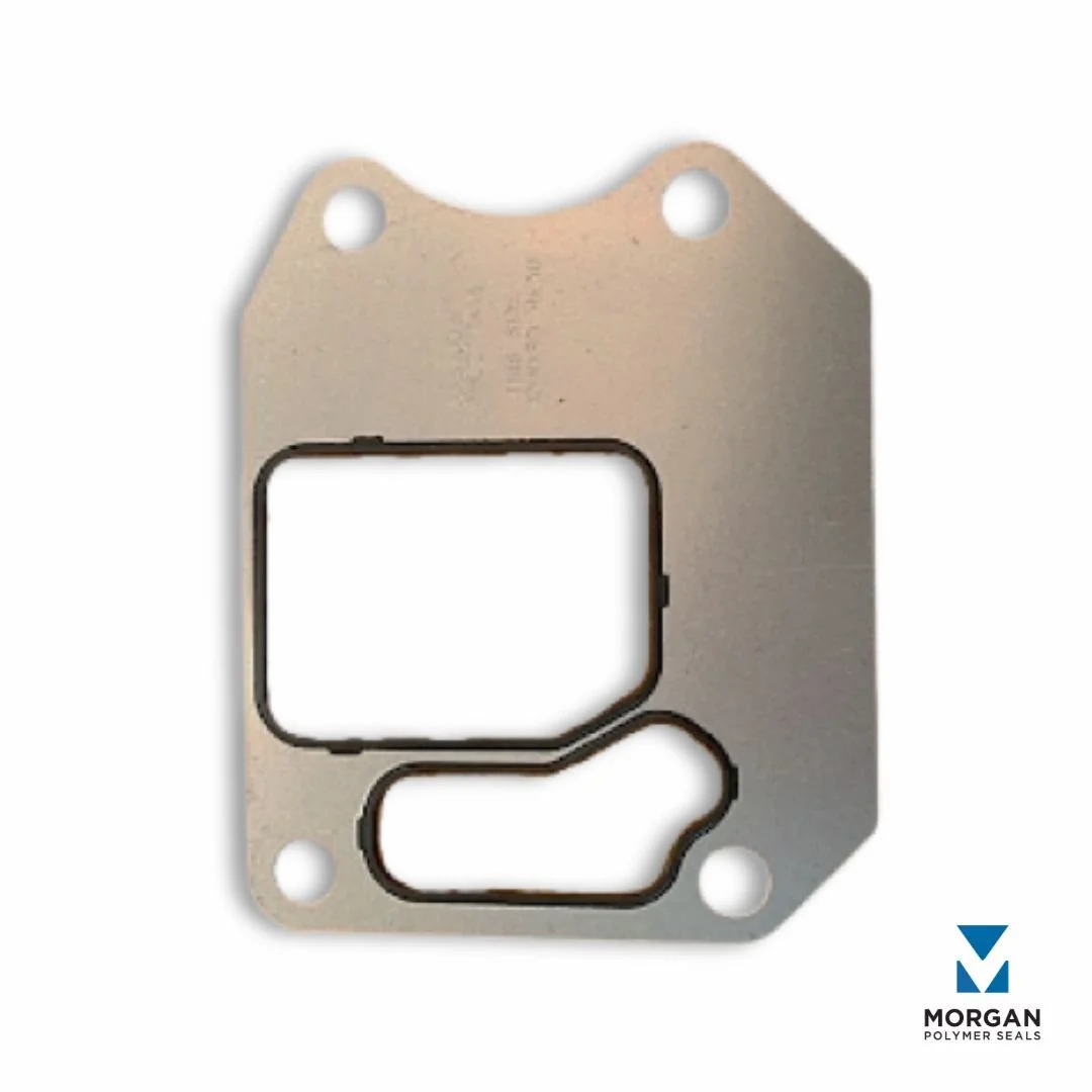 FKM Overmolded on Steel Housing Gasket Transportation.jpg