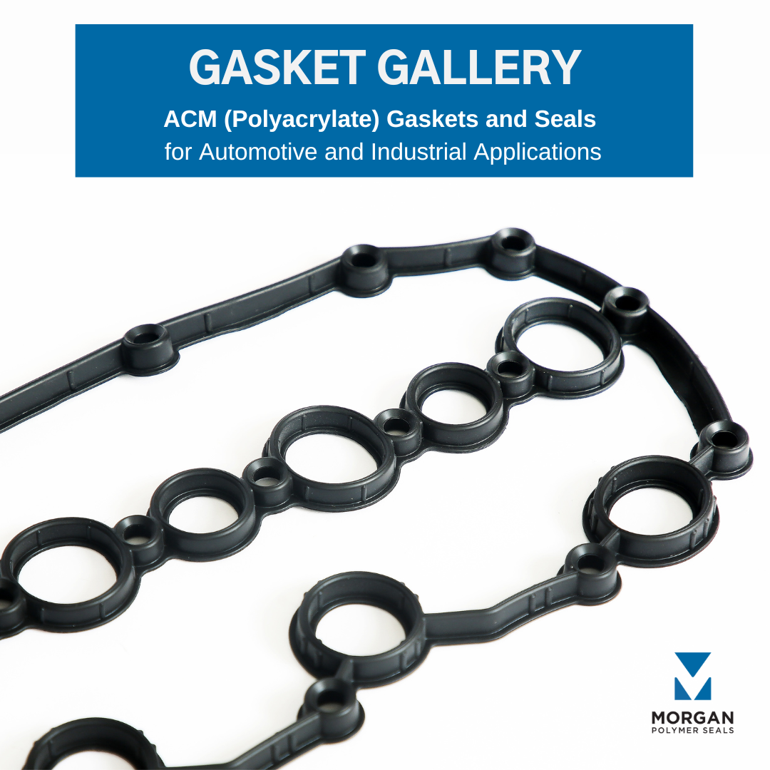 Gasket Gallery: ACM Seals (Polyacrylate)
