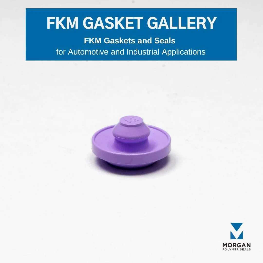 FKM Gasket Gallery