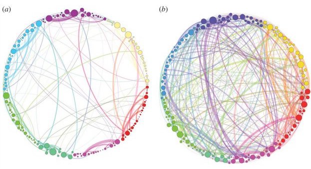 An image from Petri et al. (2014) showing the difference in brain connectivity between a normal brain (left) and the brain of a person who has been given psilocybin (right). This does not mean that the brain is working harder with psilocybin, but means that the brain makes a greater number of unusual connections.