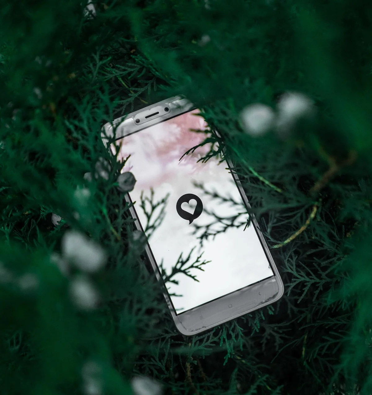 Facebook Facilitator 5-Day Facebook Challenge 