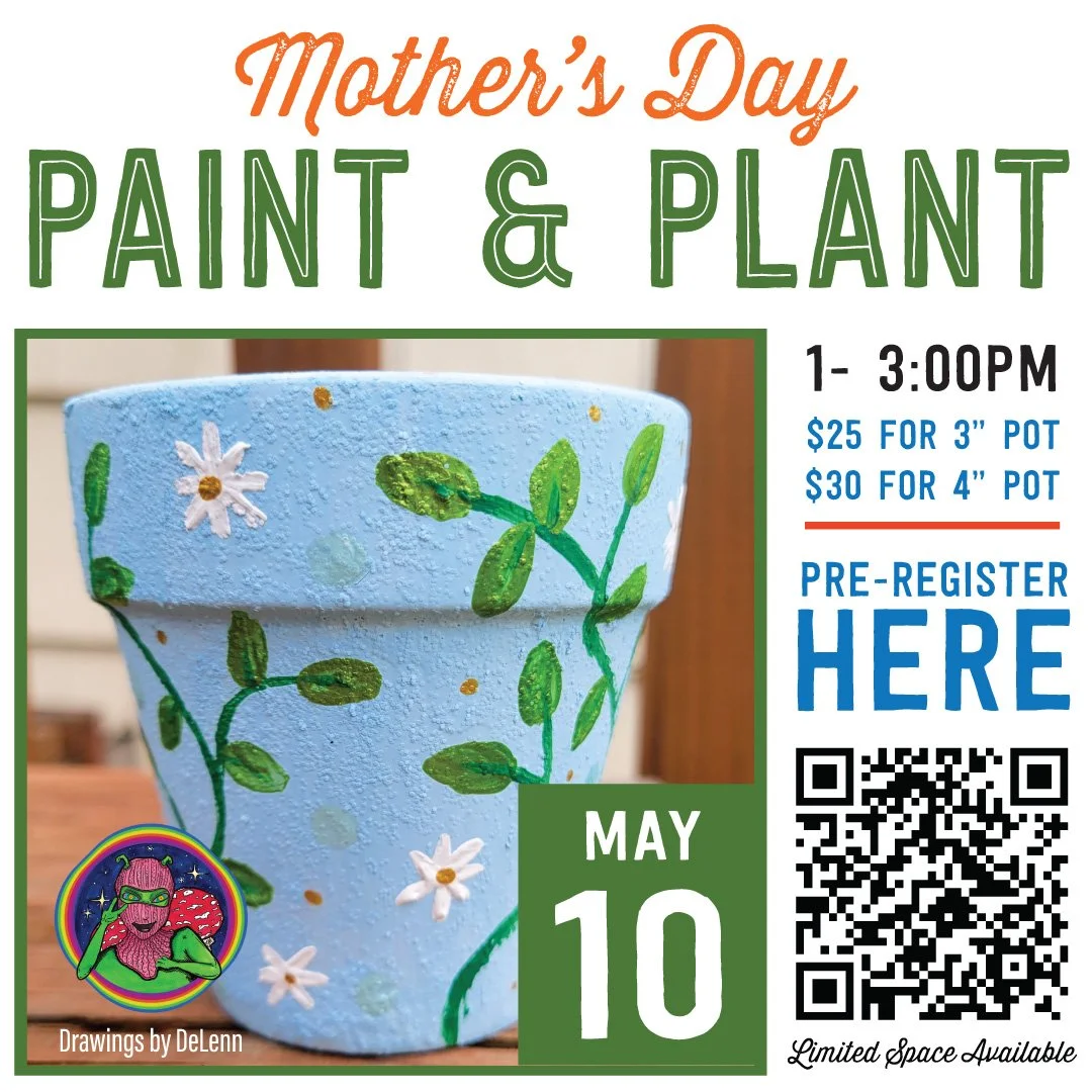 MAY CRAFT: D.I.Y. Paint &amp; Plant with DeLenn