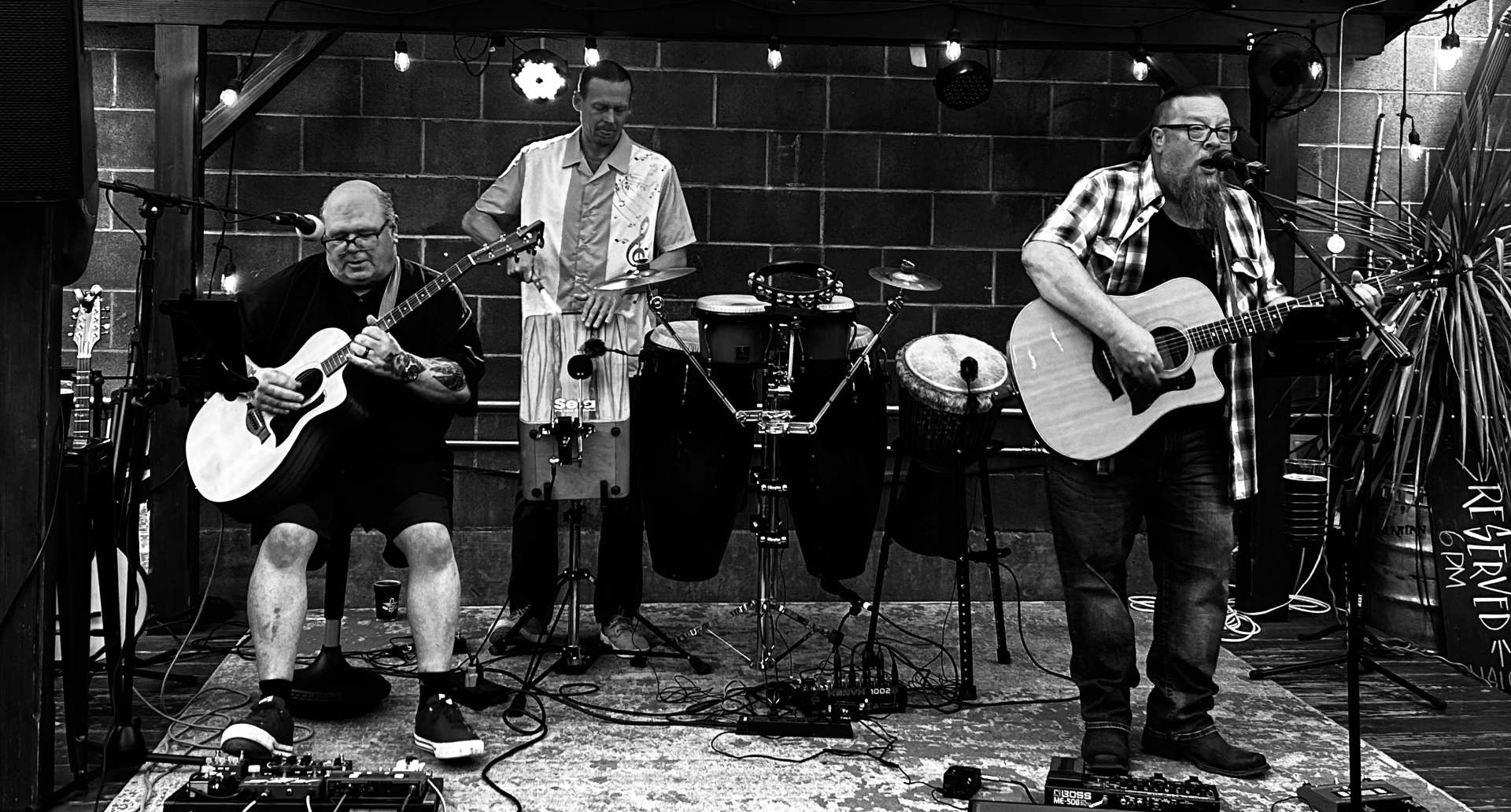 Possible Human Origins.. Live on the Patio!