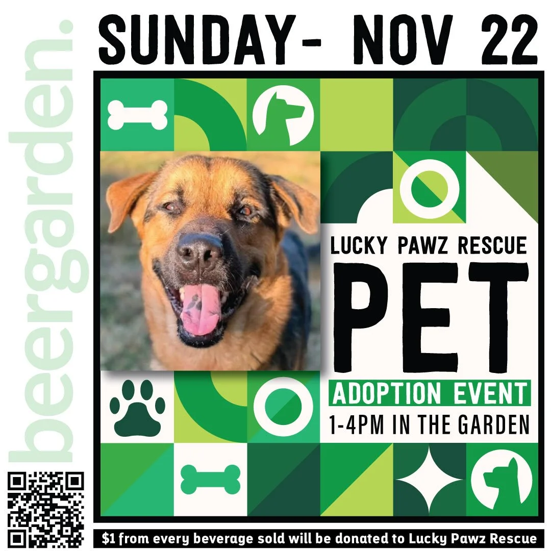November Lucky Pawz Adoption Event! 