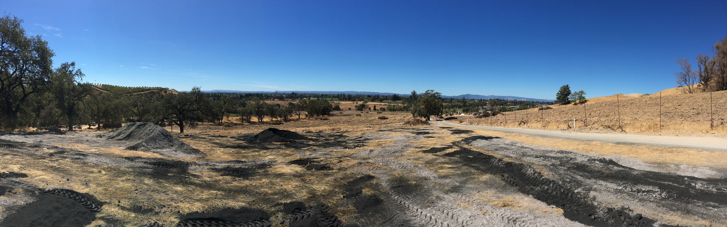 after the fires