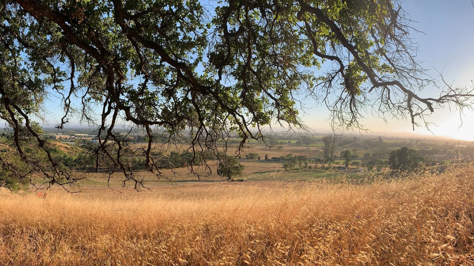 view from the top of Siebert Ranch