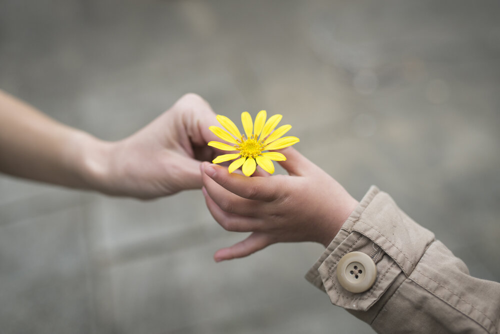 flower hands.jpg