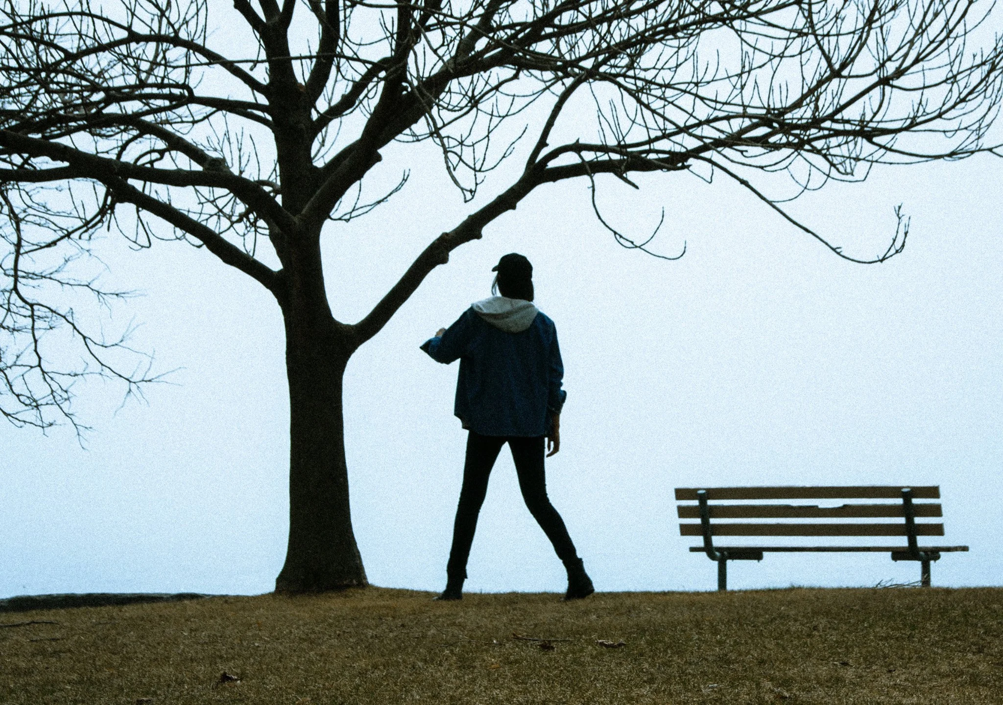 A person standing near a tree with no leaves on a foggy day, next to a park bench.