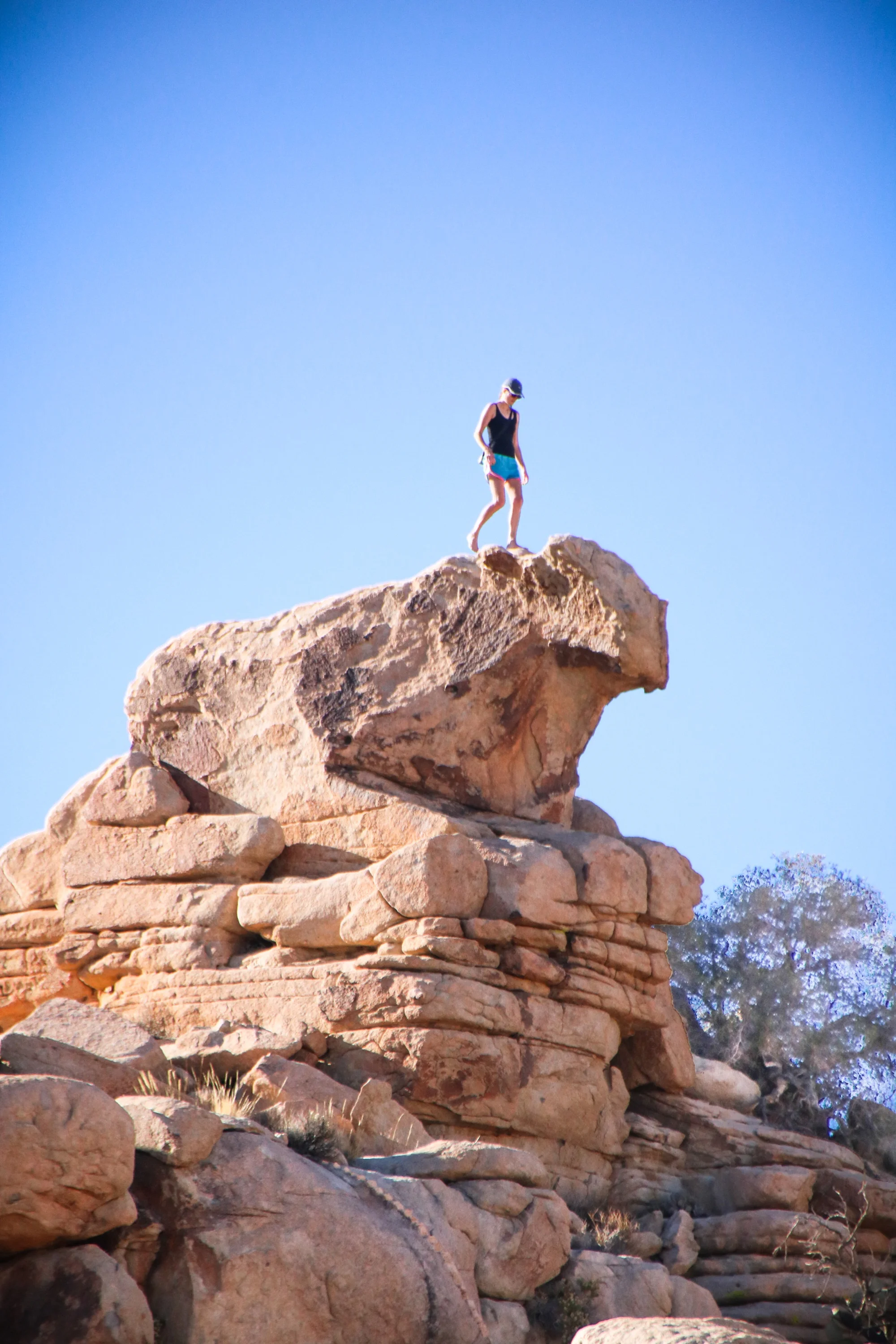 A person standing on top of a large rock formation shaped like an animal's face against a clear blue sky.