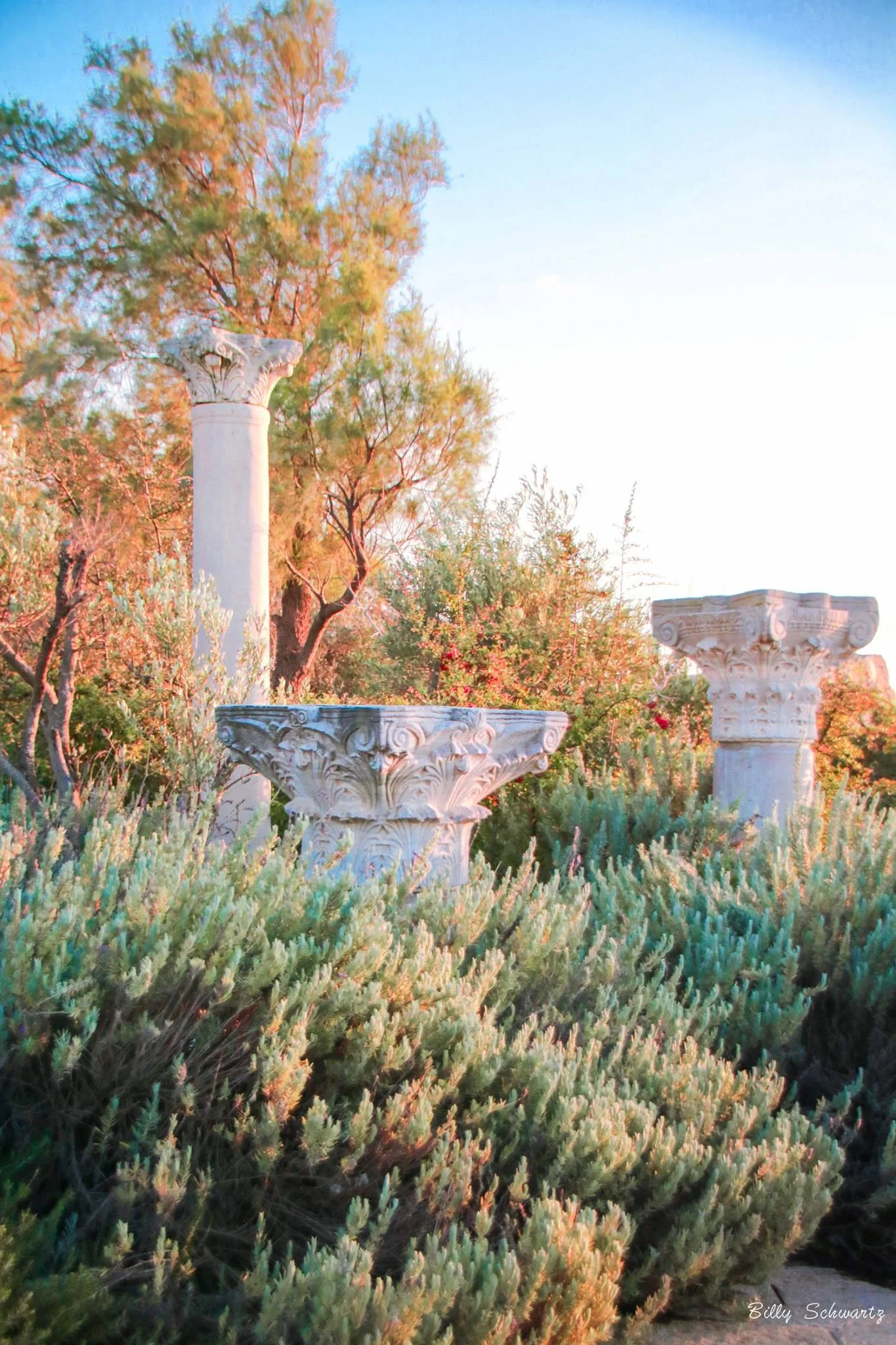 Three ancient Greek-style marble columns and bases in a garden with lush green shrubs and trees, bathed in warm sunlight.