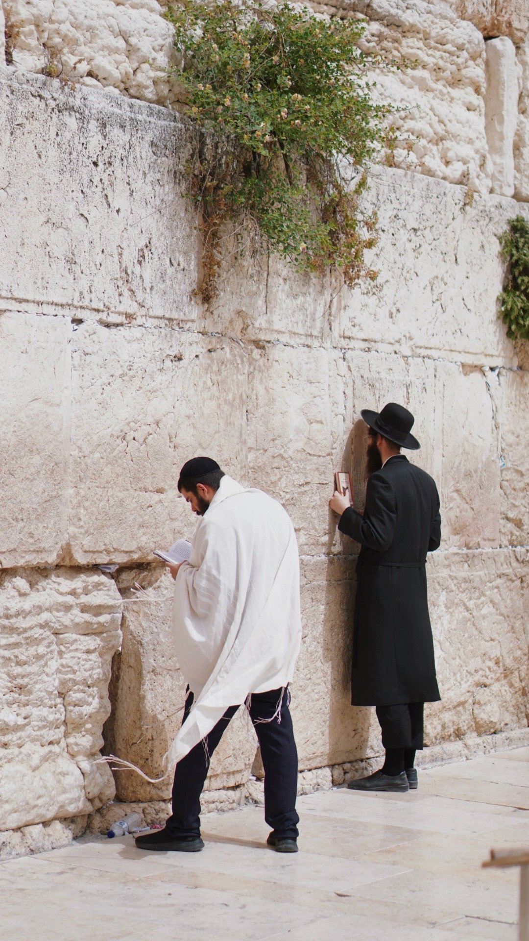 Two men standing and praying at the Western Wall in Jerusalem, one wearing a white prayer shawl and the other in a black coat and wide-brimmed hat, with a stone wall and some greenery in the background.