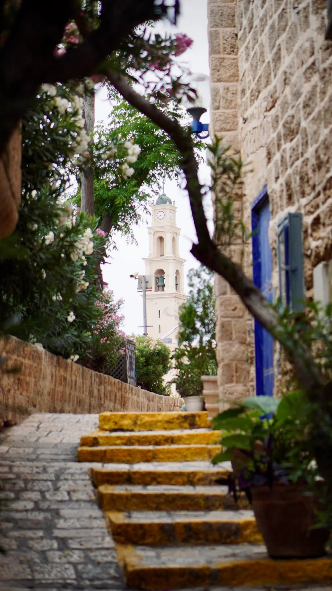 A narrow cobblestone street with a yellow staircase, potted plants, flowering bushes, and a clock tower in the background.