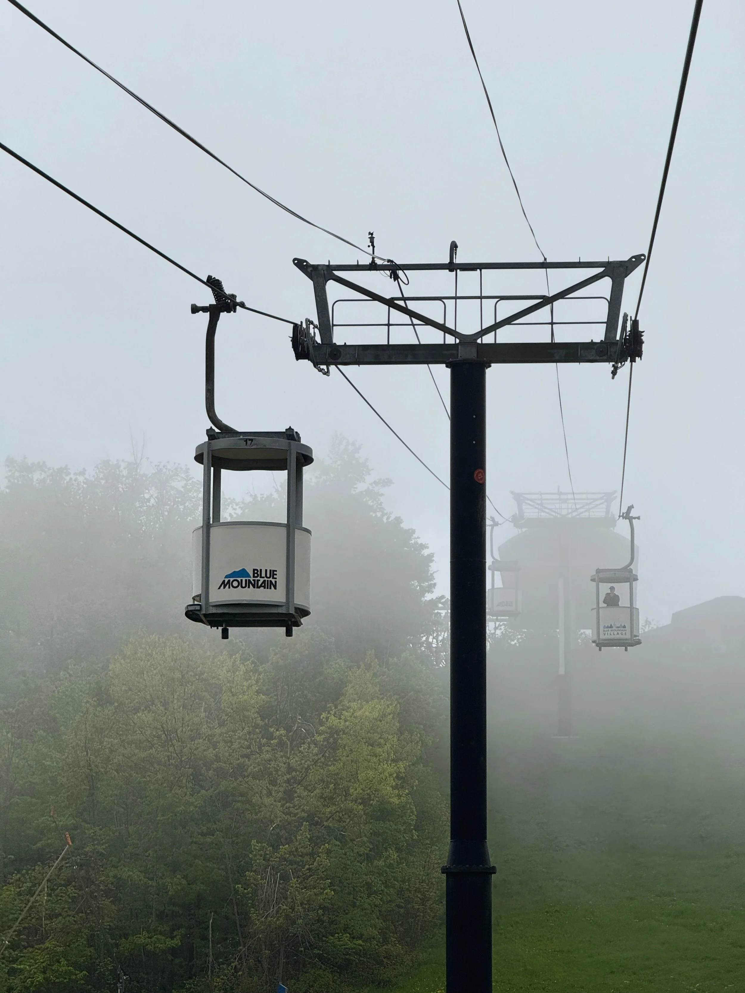 Cable car ride on the Blue Mountain with foggy atmosphere and lush green trees below.
