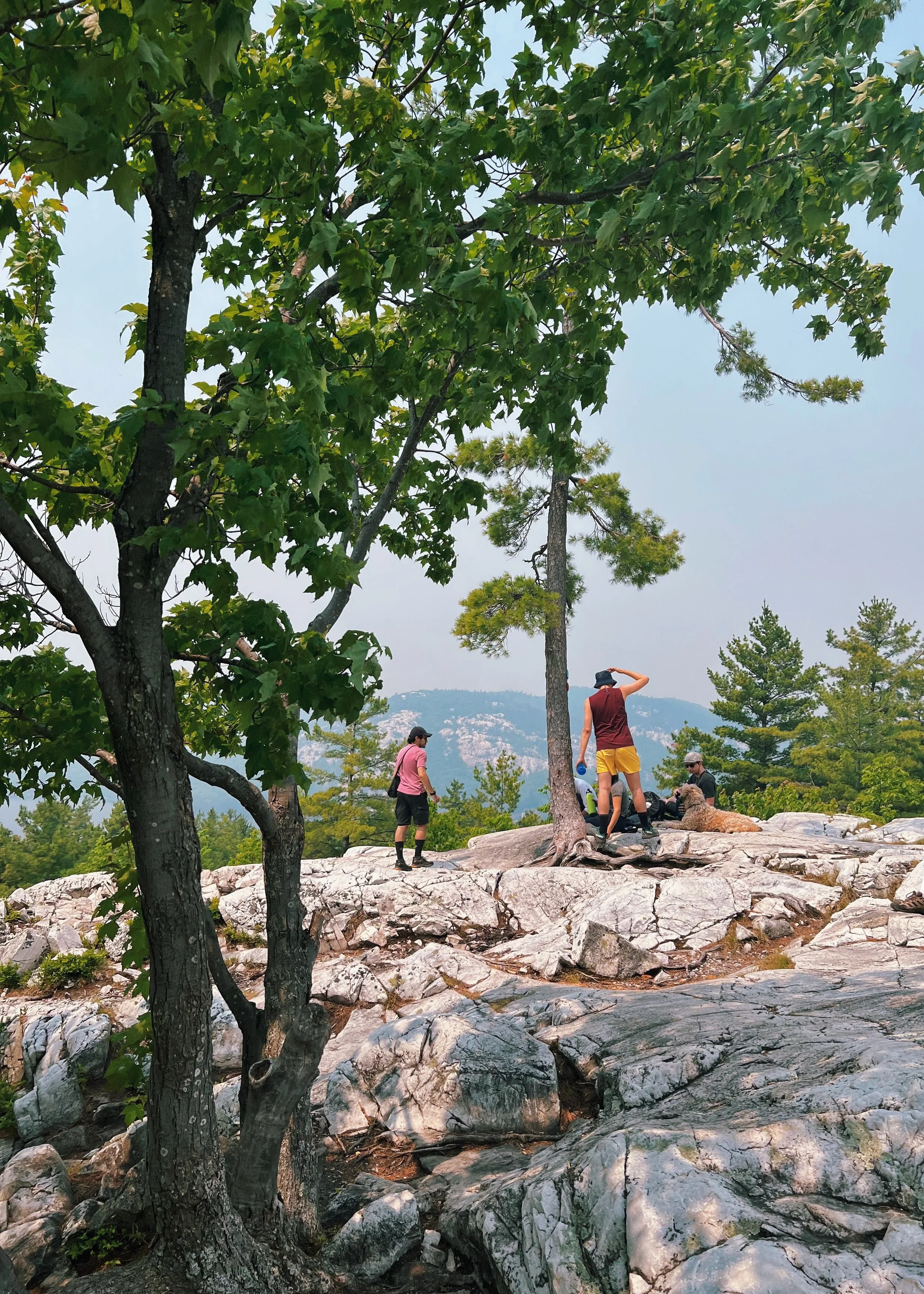 Three people are on a rocky outdoor area surrounded by green trees, with mountains in the background. They appear to be preparing for hiking or outdoor activity.