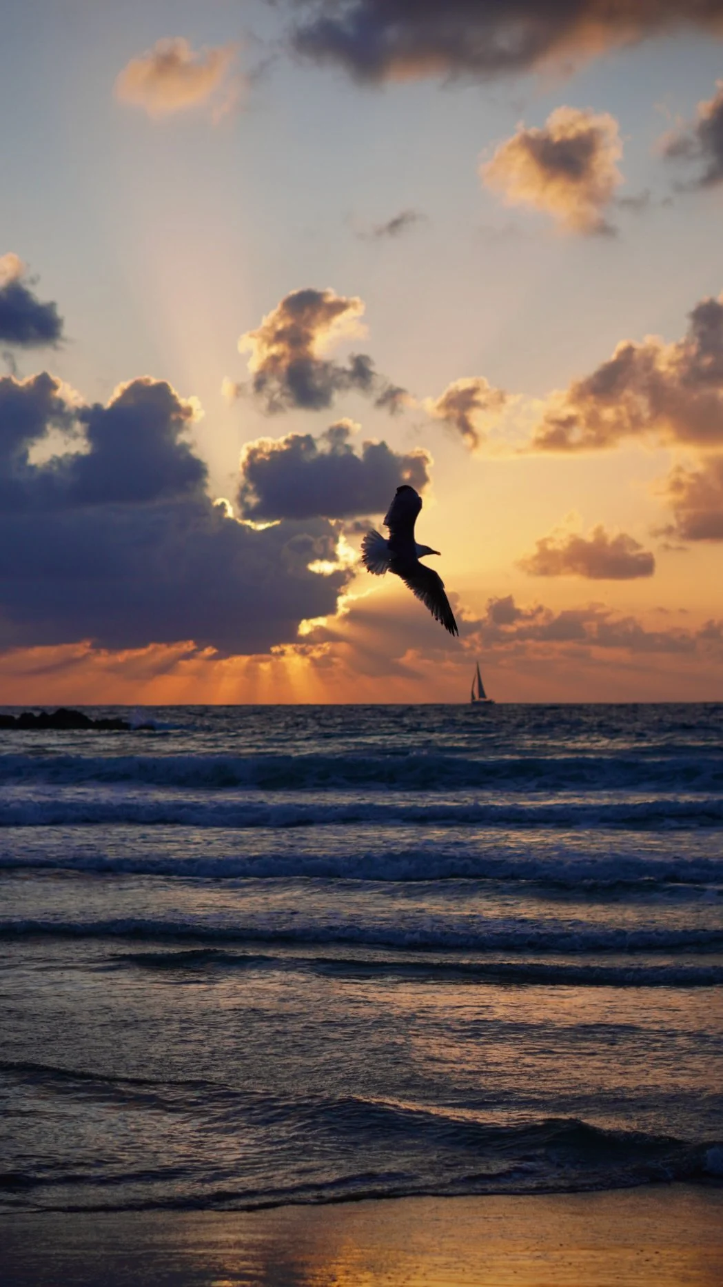 A bird flying above the ocean during sunset with clouds in the sky and a sailboat in the distance.