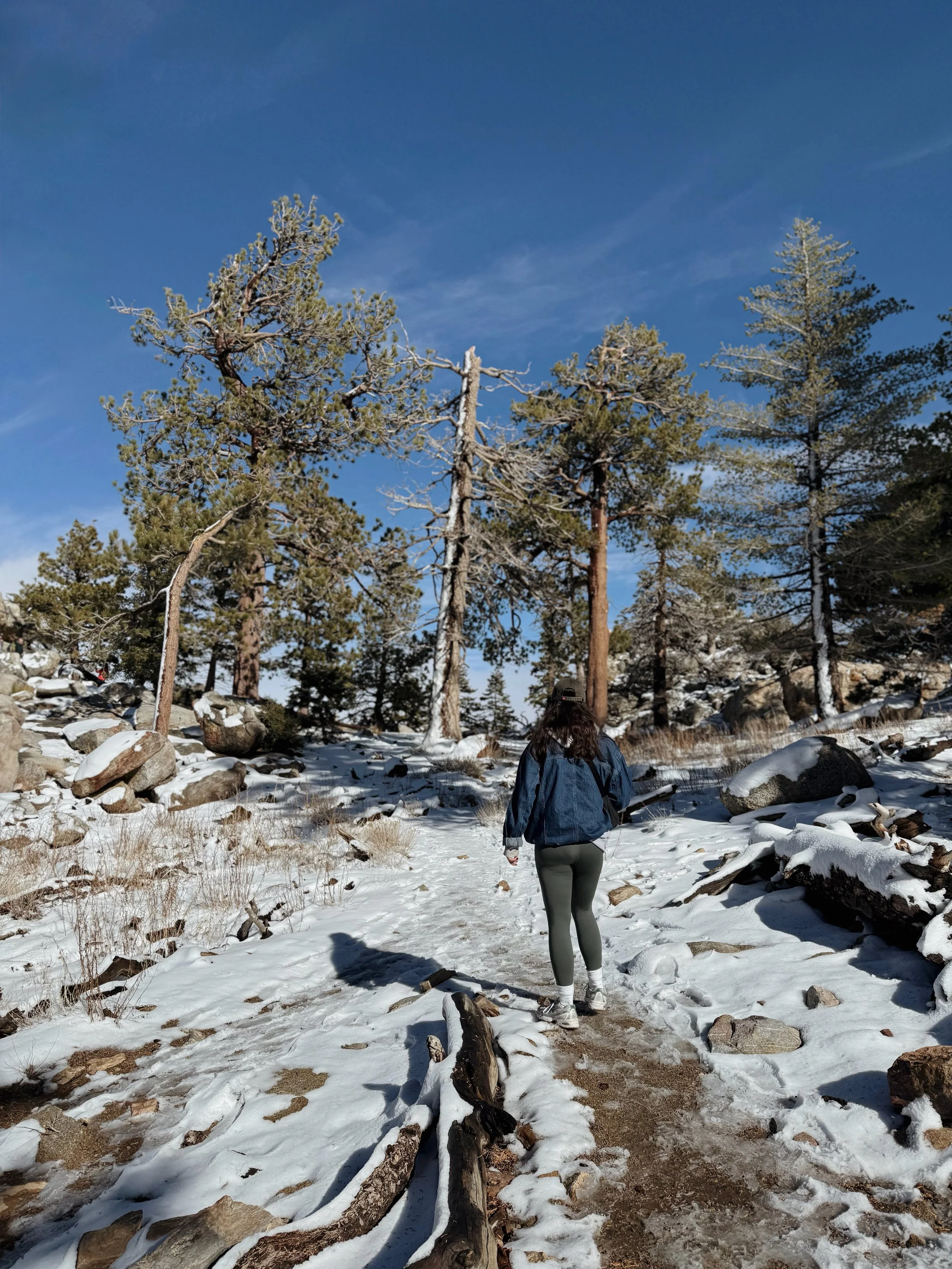 A woman hiking on a snowy trail through a forest with tall trees and rocks, under a clear blue sky.