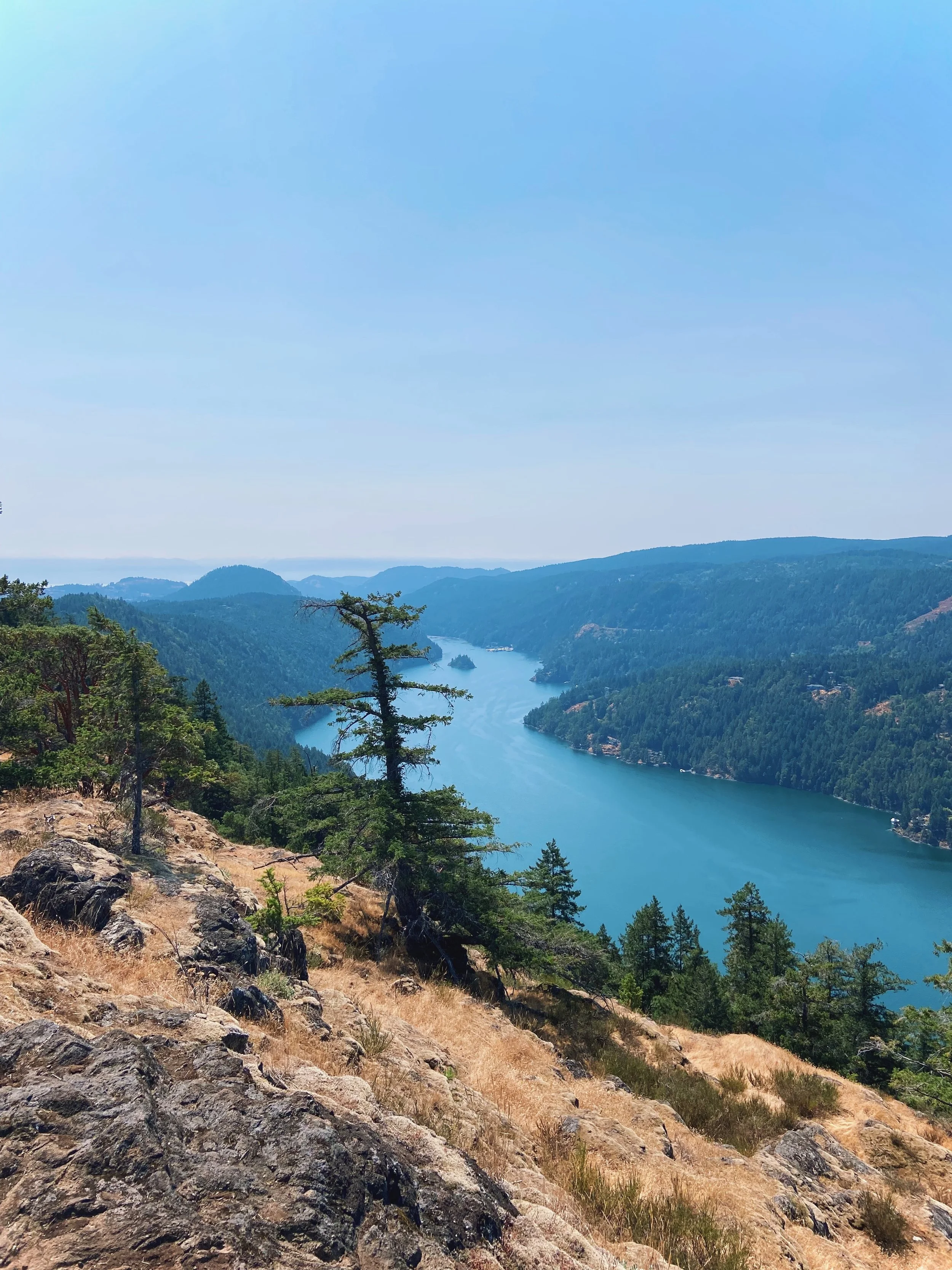 A scenic view of a river flowing through a lush green canyon with hills covered in trees, under a clear blue sky.
