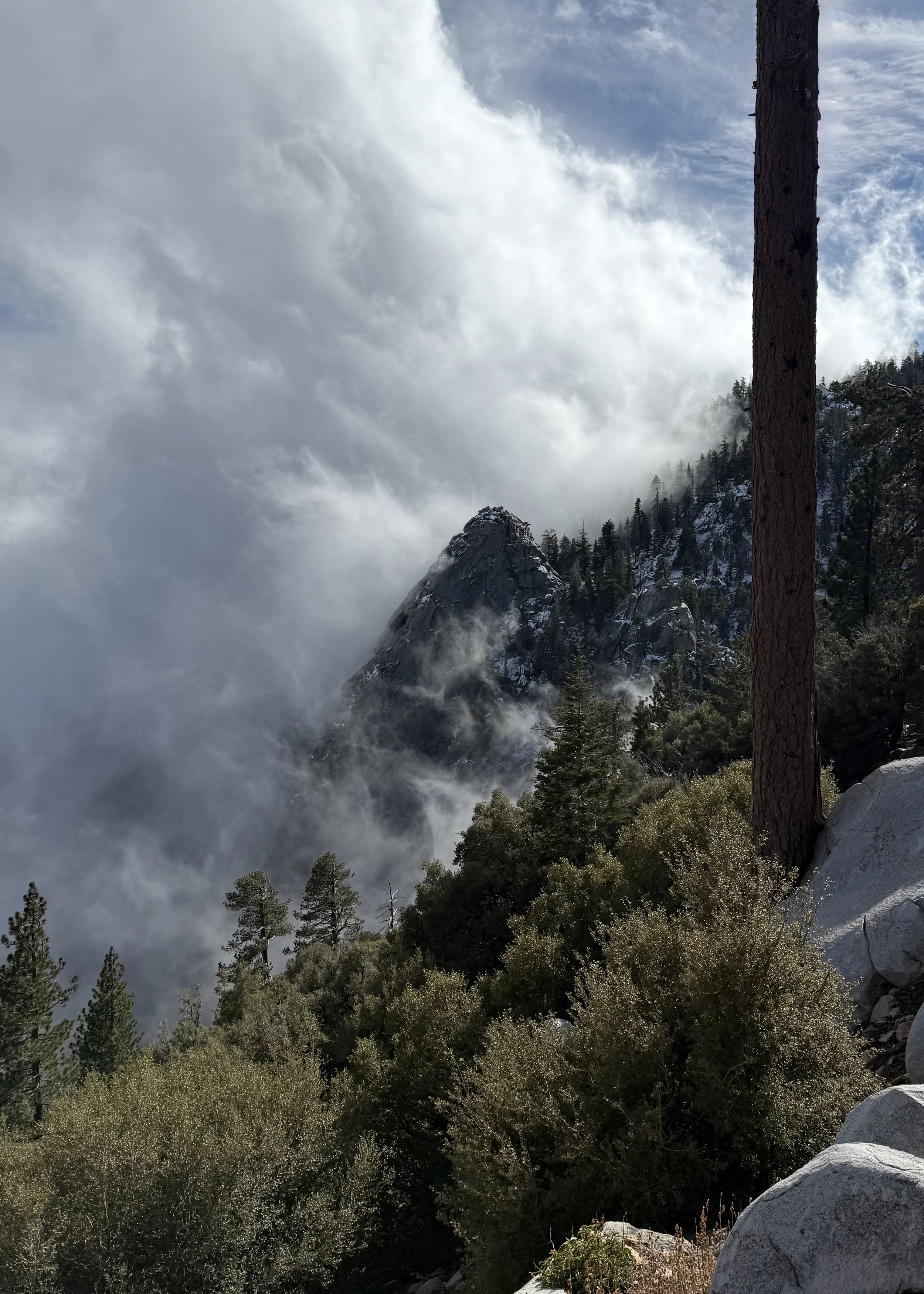 Mountain landscape with rocky peak surrounded by clouds, tall trees, and green shrubbery in the foreground.