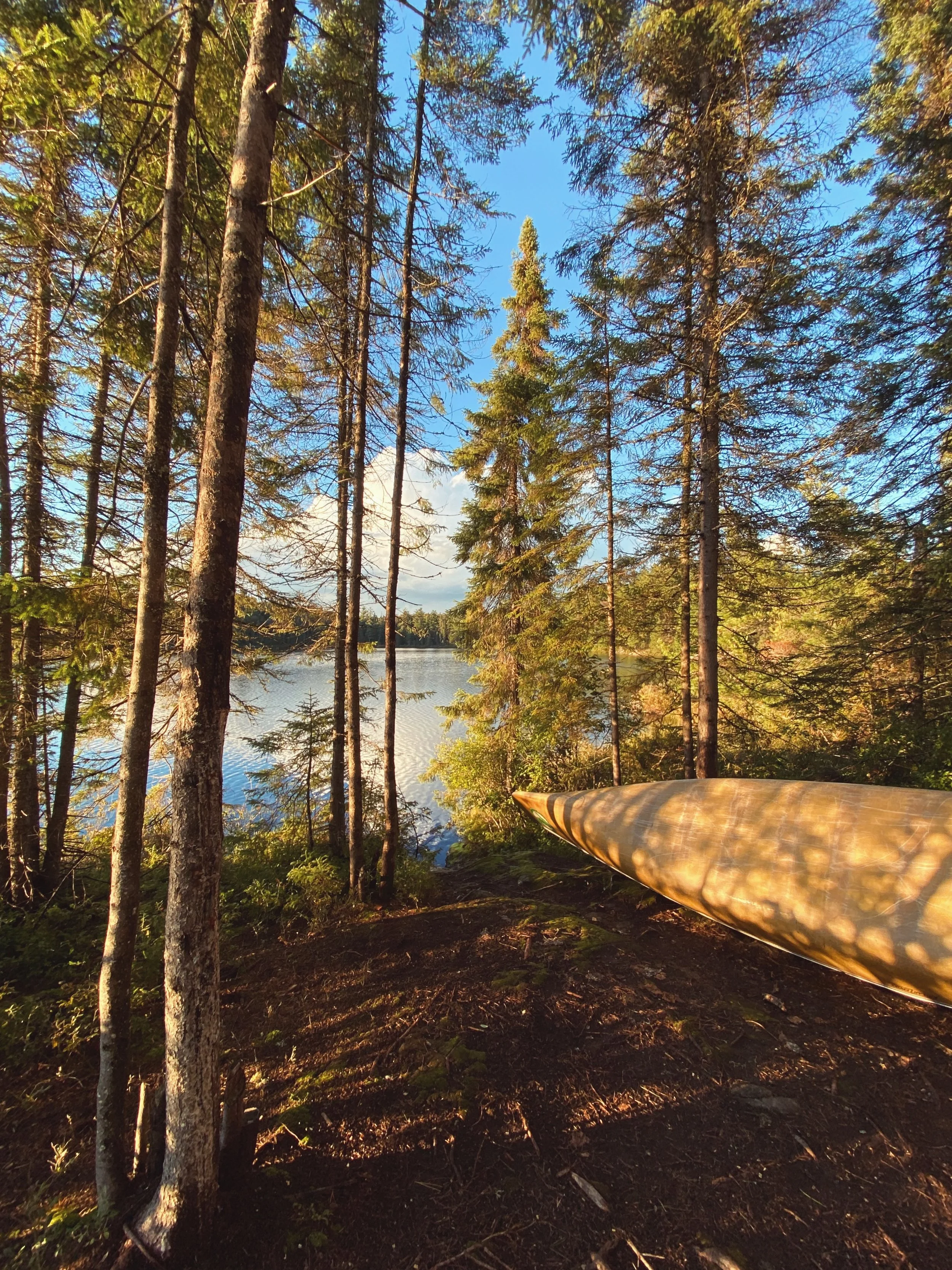 A boat on the ground near a lake among tall trees in a forest during daytime.