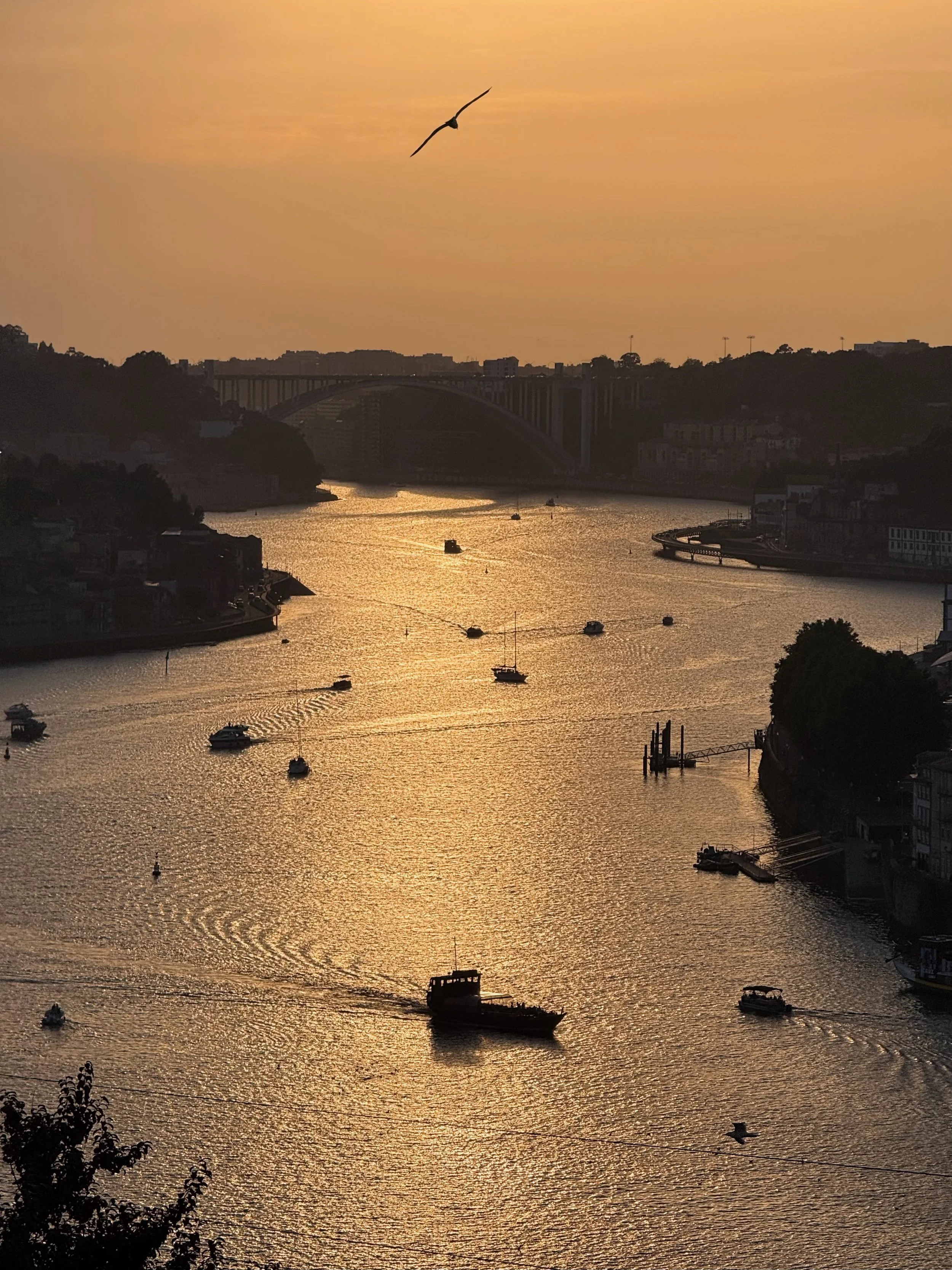Sunset over a river with boats, a bridge in the background, and a flying bird in the sky.