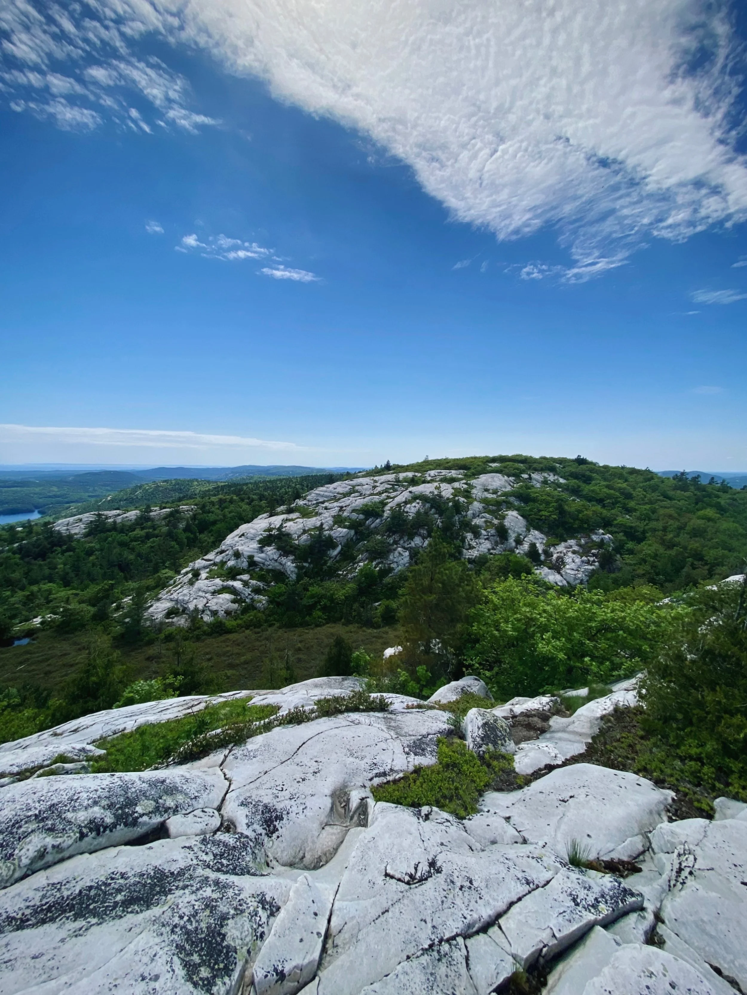Scenic view of a rocky hill surrounded by green trees under a bright blue sky with some white clouds.