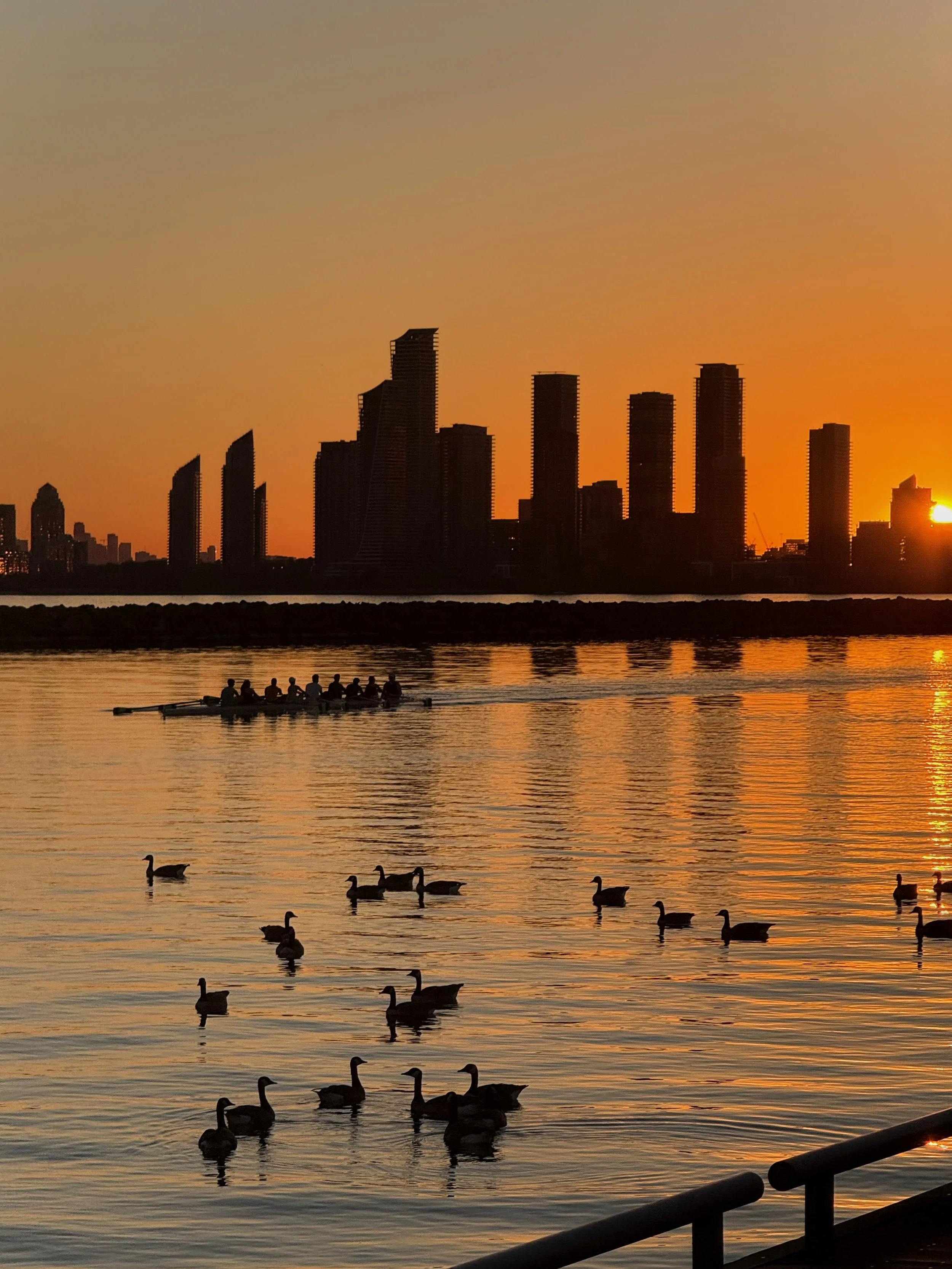 Sunset over a city skyline with tall buildings, with a body of water in the foreground. Ducks are swimming in the water, and a group of people are rowing a boat. The sky is orange and yellow as the sun sets.