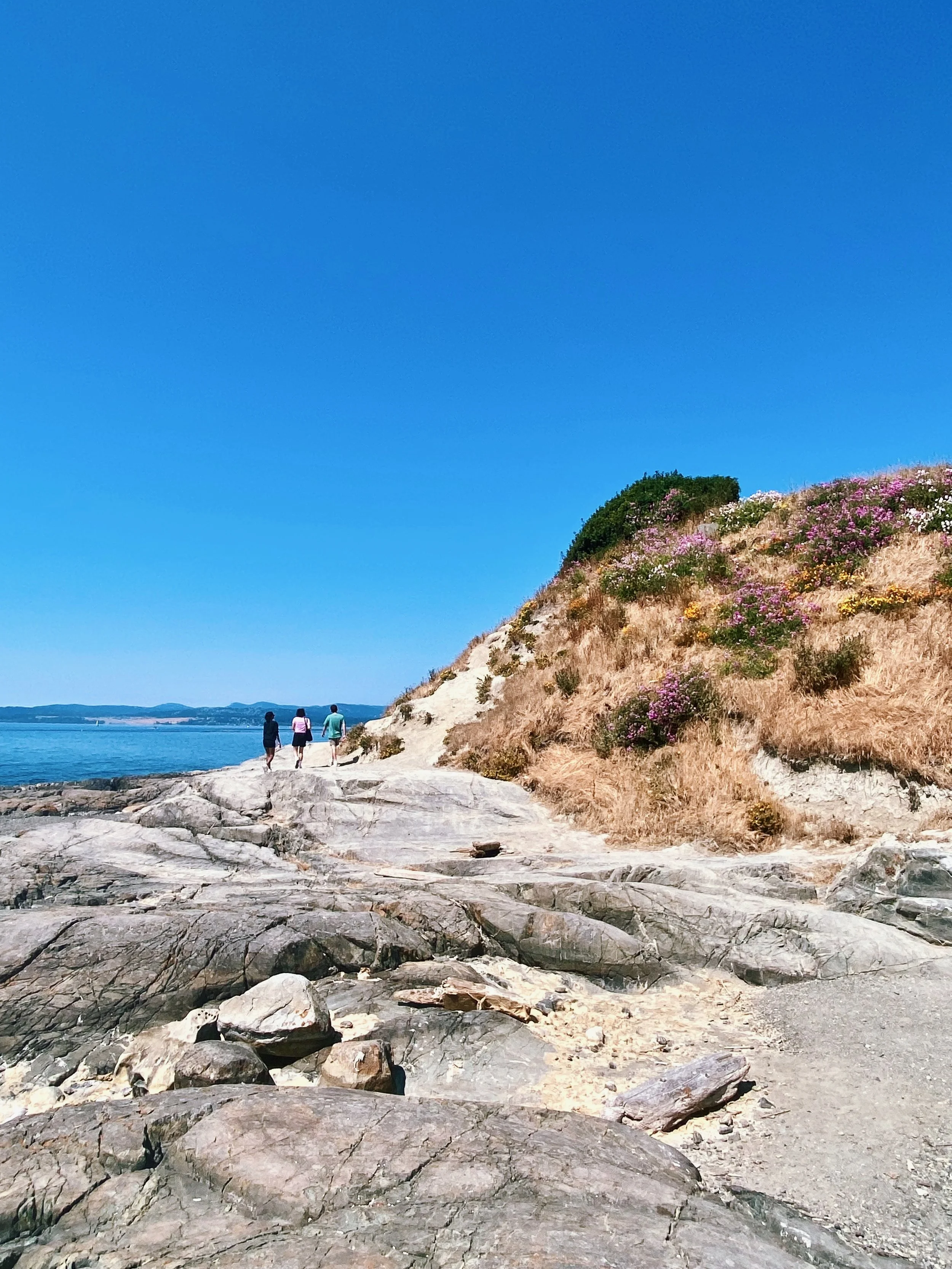 Three people walking along a rocky shoreline near a grassy hill with pink and purple flowers, under a clear blue sky.