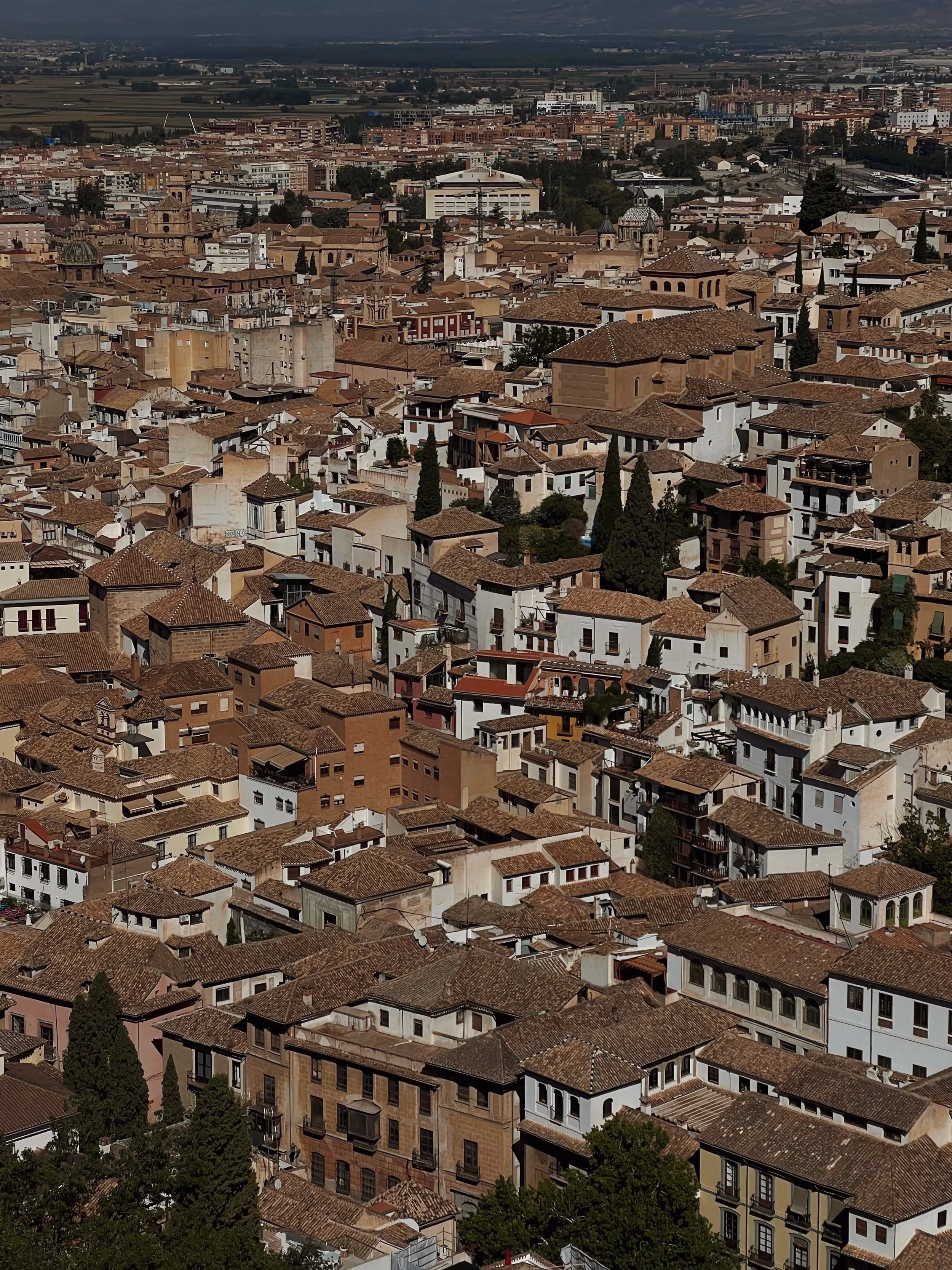 Aerial view of a city with densely packed buildings, many with tiled roofs, some with trees scattered throughout, and a flat landscape background.