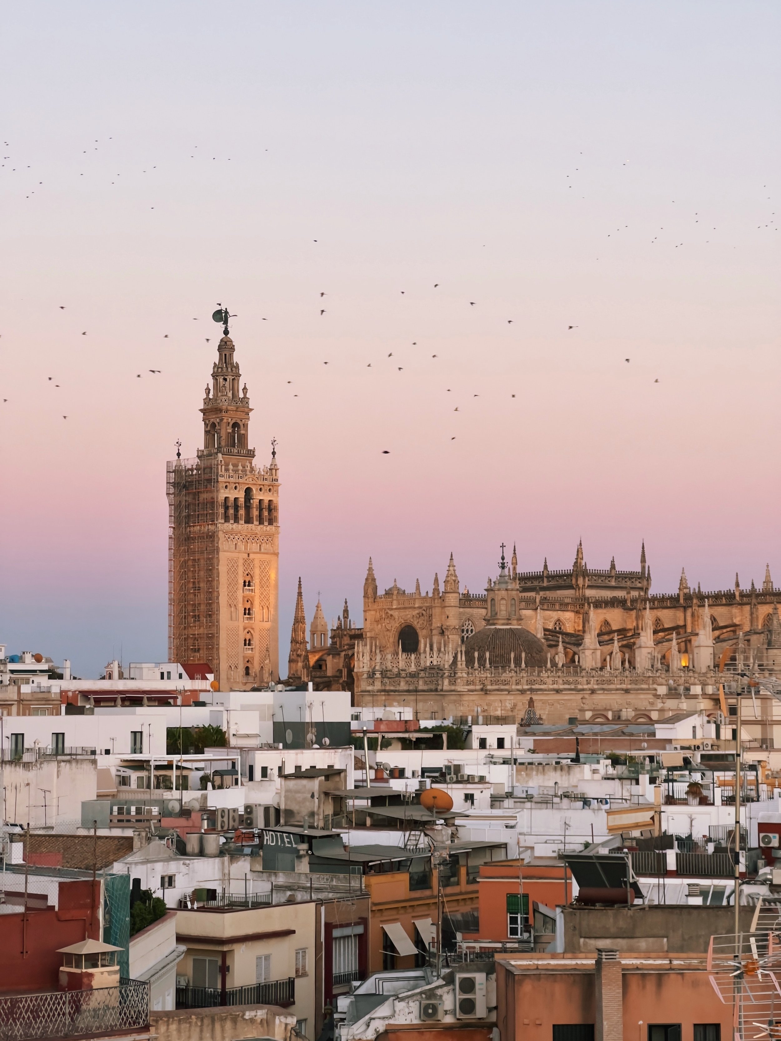 Cityscape with historic cathedral and tower at sunset, with birds flying in the sky.