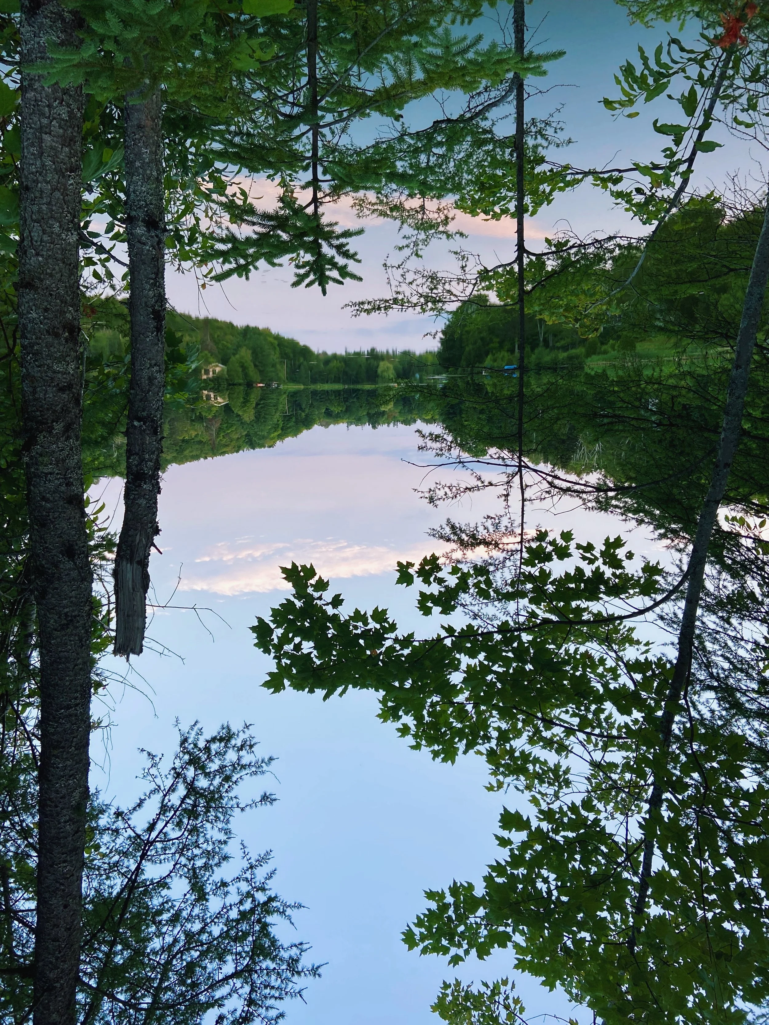 Serene lake surrounded by lush green trees, reflecting the sky and foliage on a calm surface, with a clear sky above.