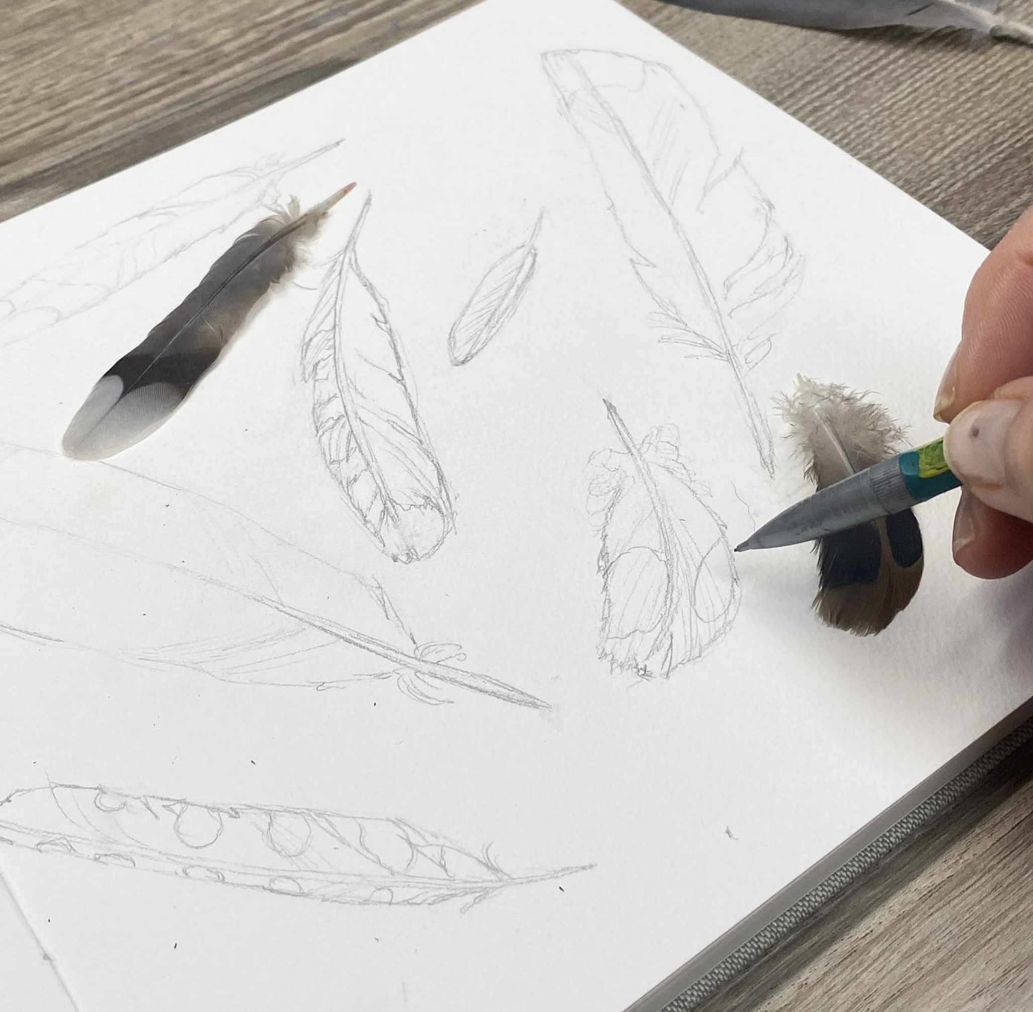 Drawing for Beginners: Best Tips and Supplies in 2022