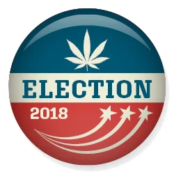 election-2018-bug.jpg