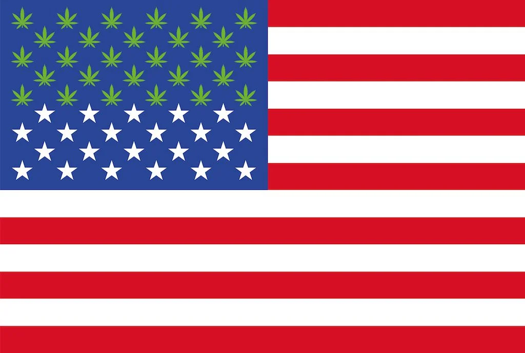 Mary-Janes-Almanac-Weed-Flag-1024x688.jpg