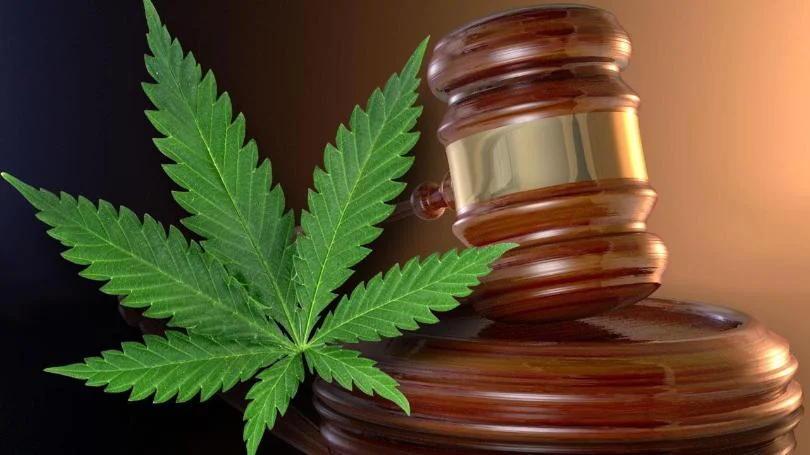 marijuana139.jpg