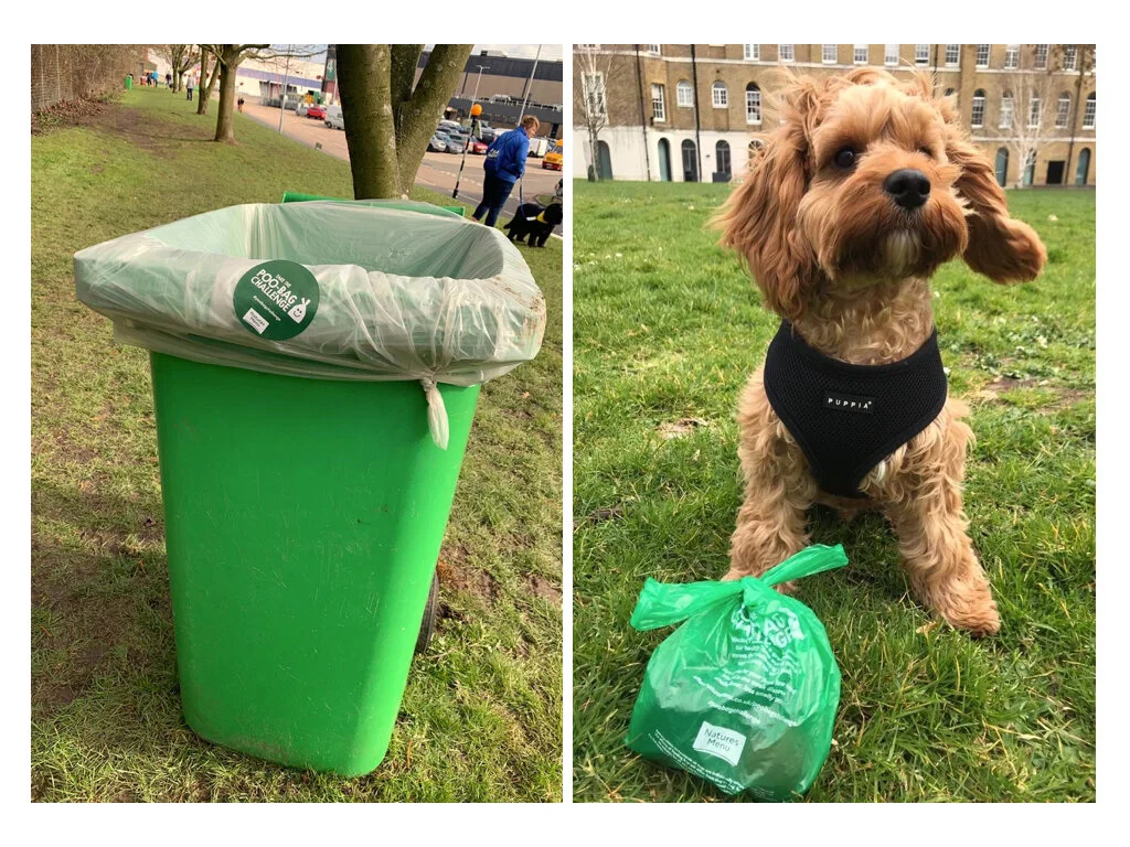 POO BAG BOARDS WEBSITE.003.jpeg