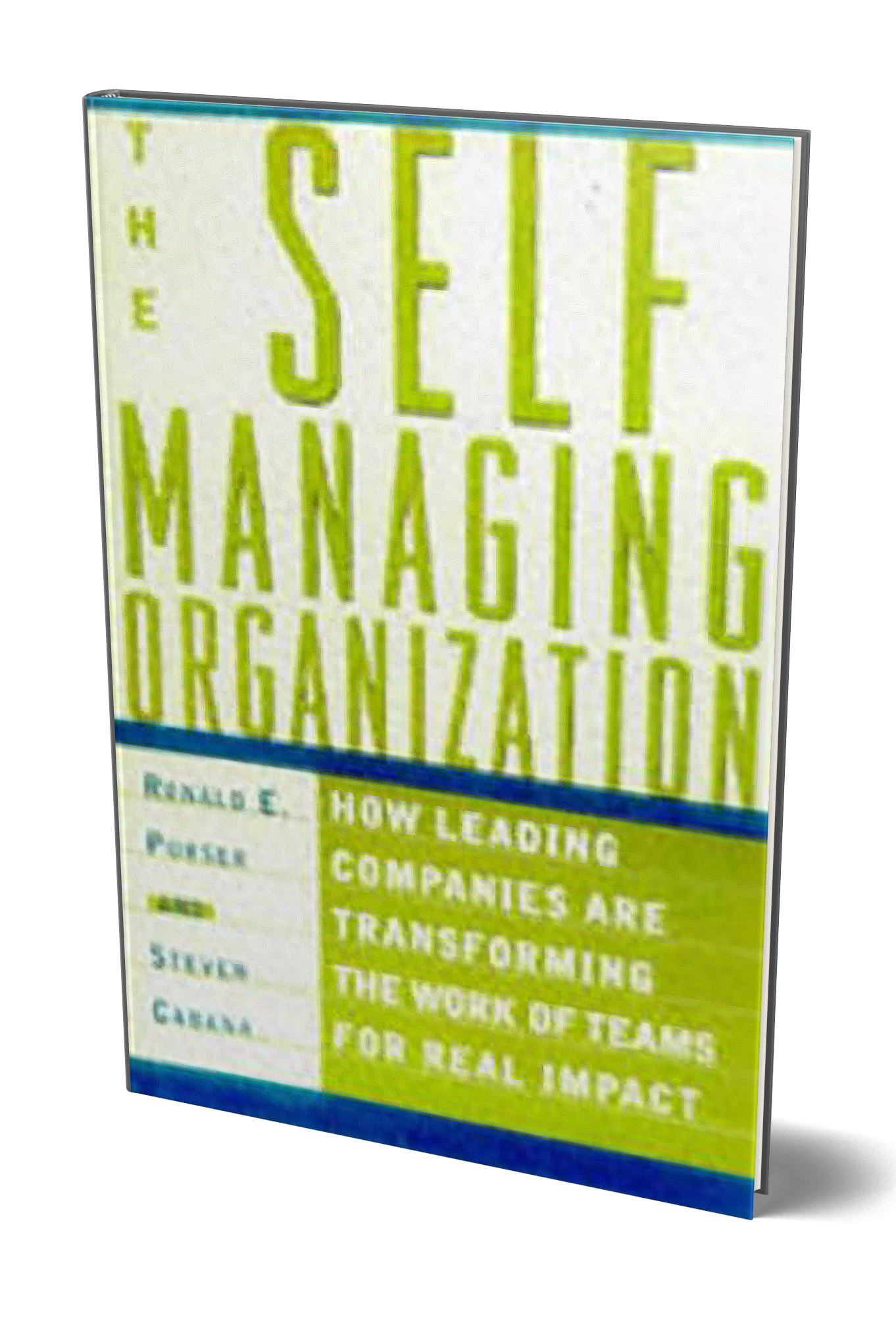 The Self-Managing Organization : How Leading Companies Are Transforming the Work of Teams for Real Impact