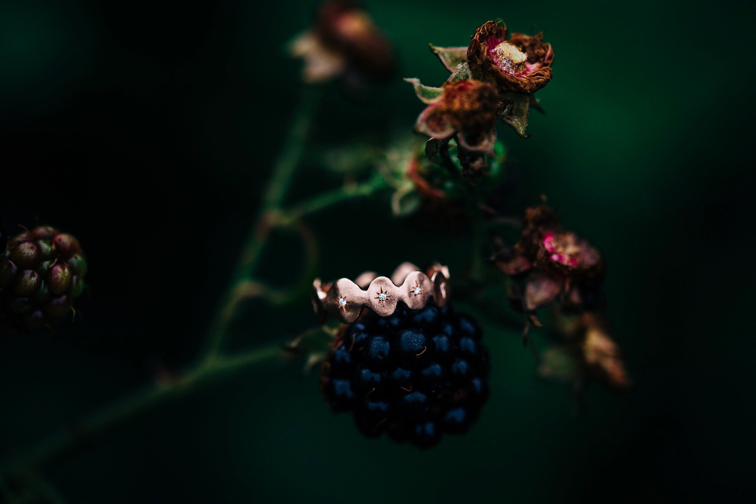 Wedding Ring Details