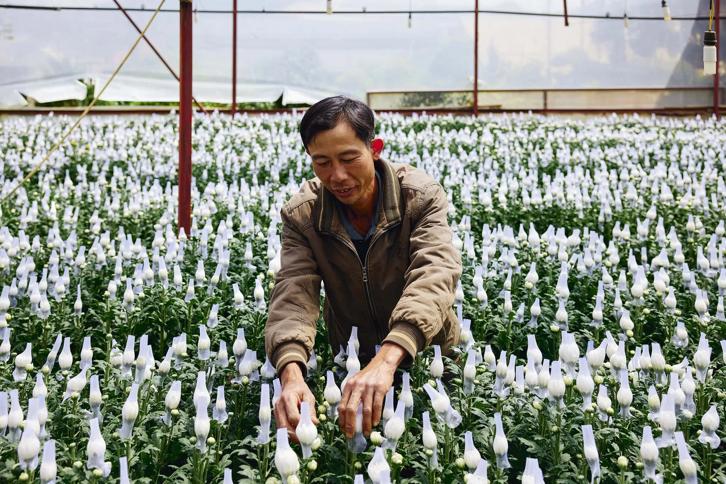 dalat-vietnam-flower-grower-portrait-07.JPG