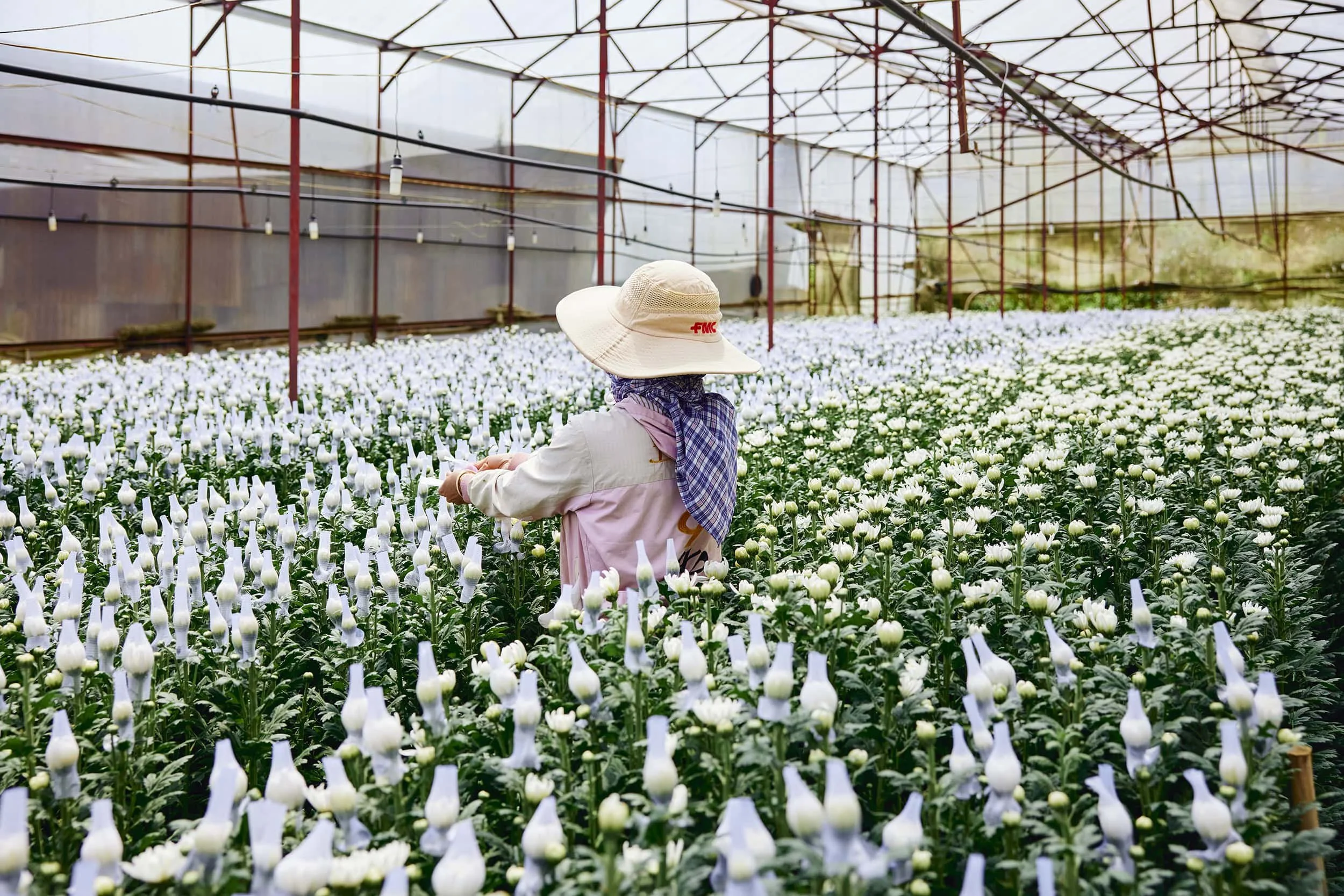 dalat-vietnam-flower-grower-portrait-08.JPG