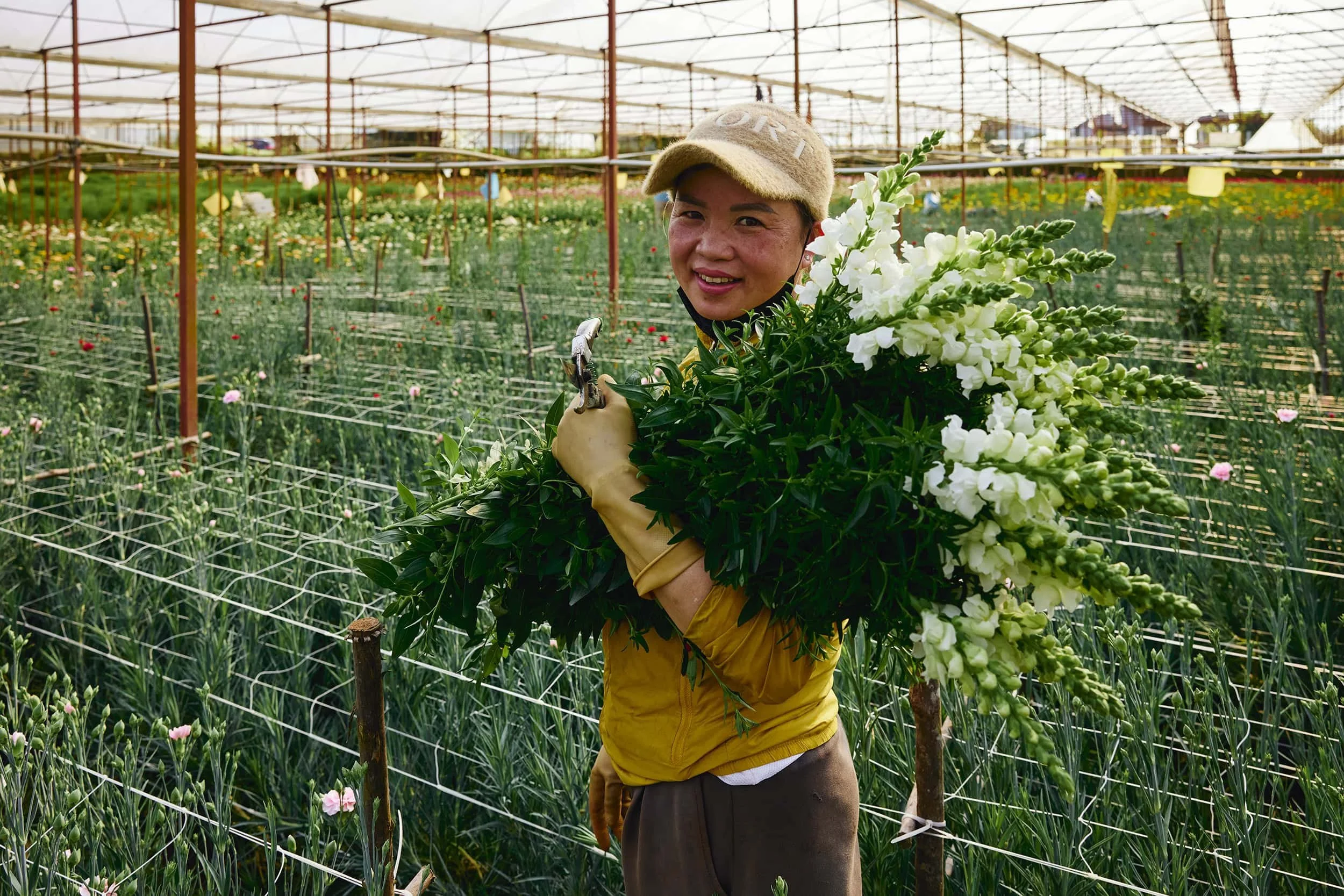 dalat-vietnam-flower-grower-portrait-21.JPG