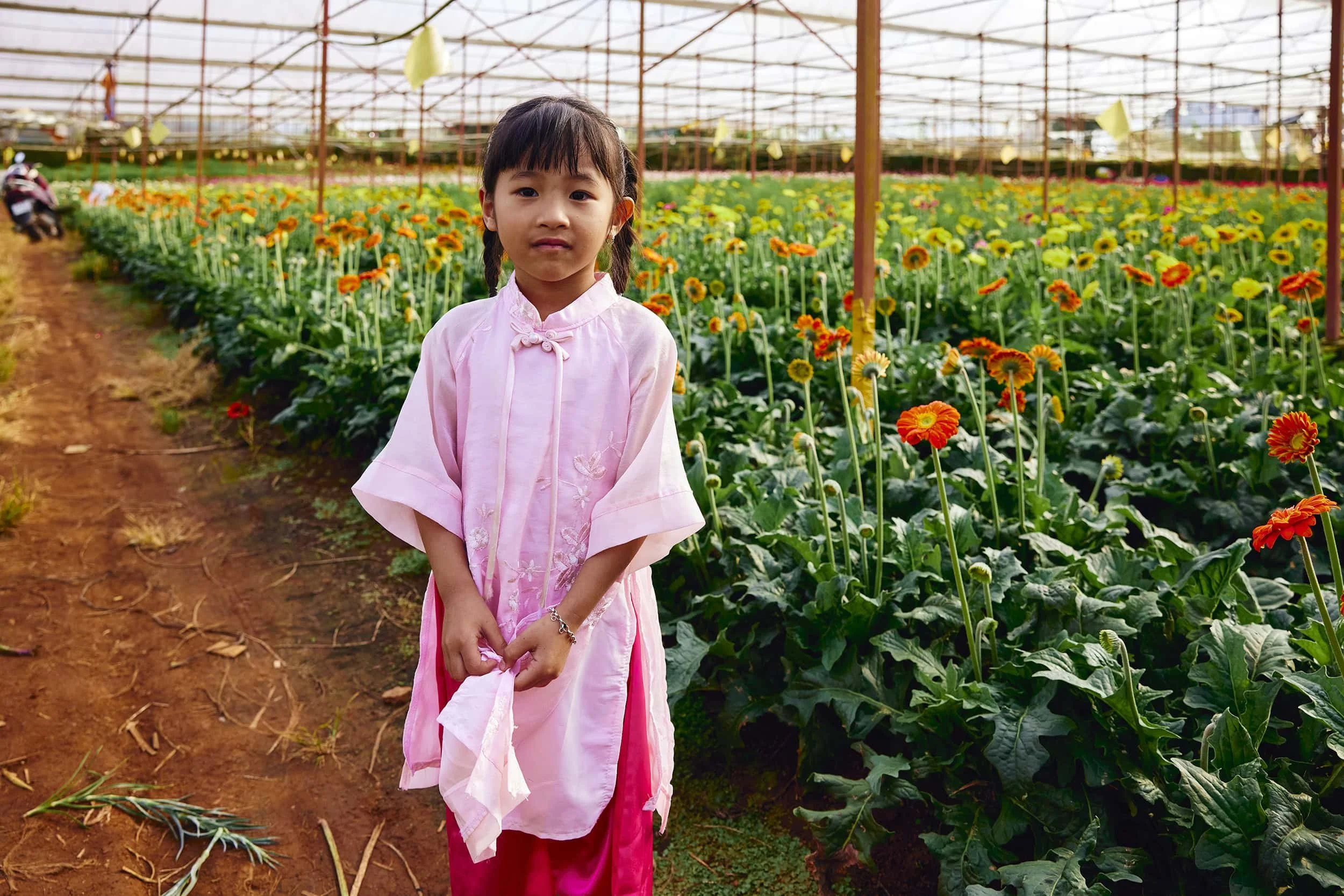 dalat-vietnam-flower-grower-portrait-23.JPG
