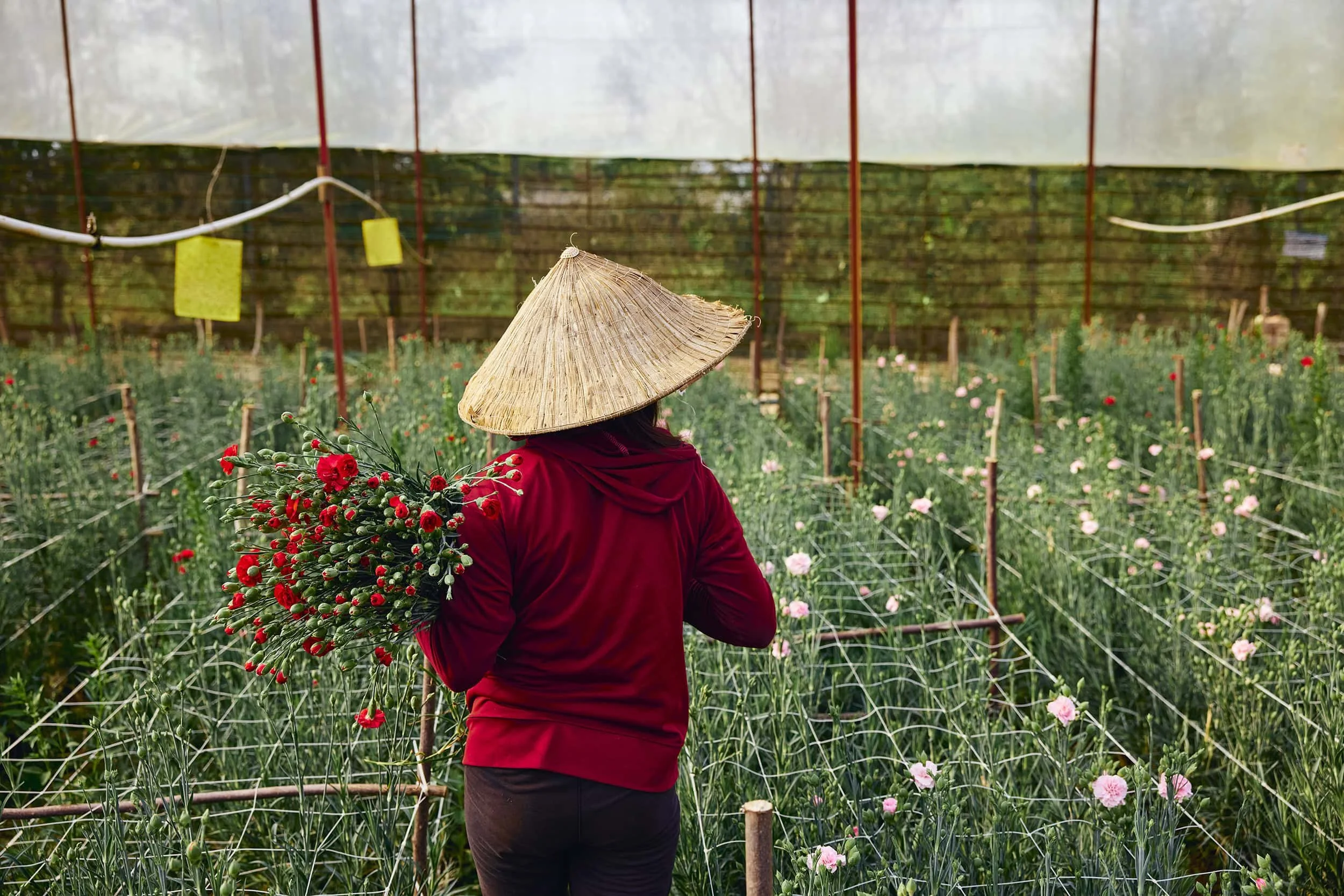 dalat-vietnam-flower-grower-portrait-26.JPG