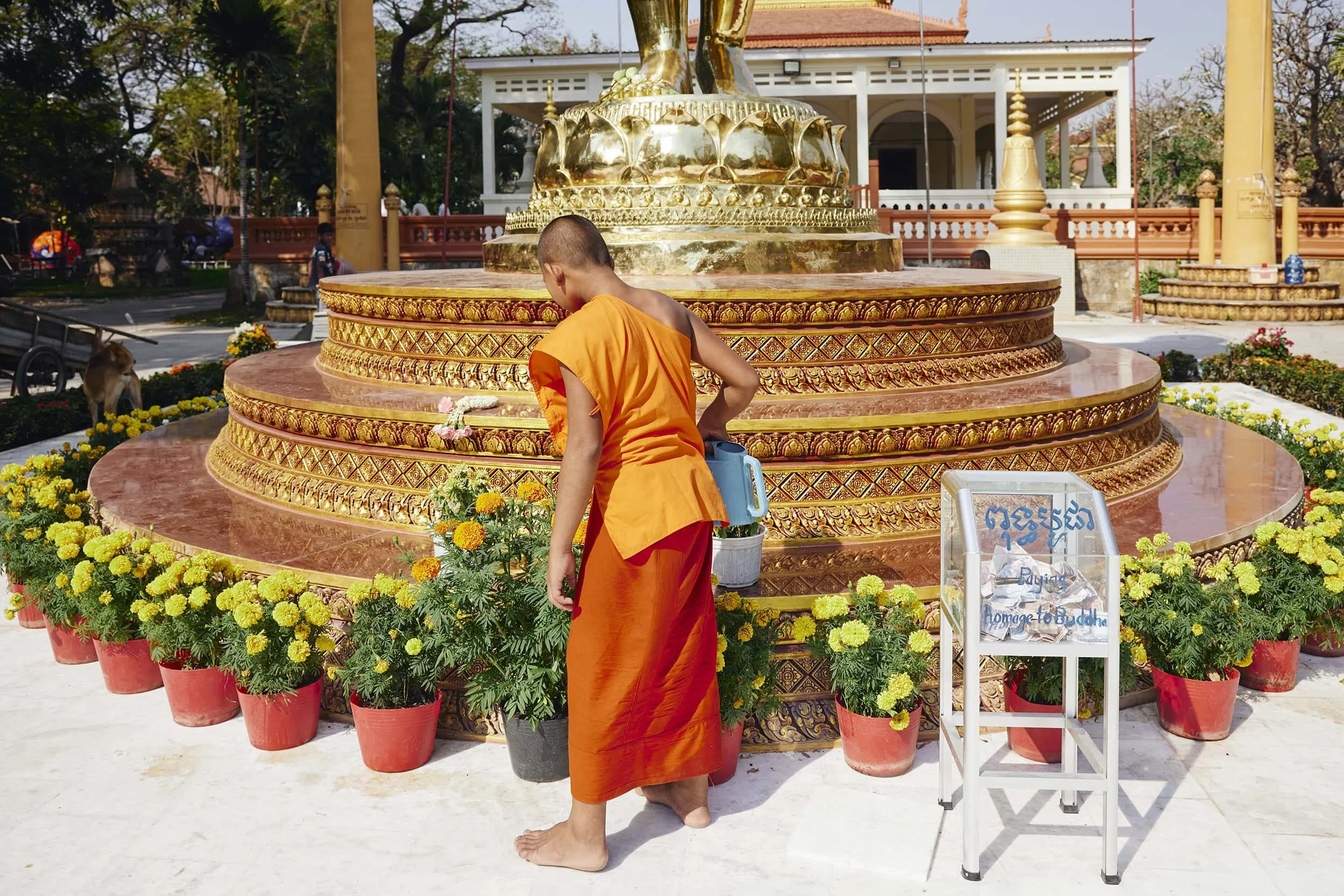 siem-reap-cambodia-novice-monks-portrait.jpg