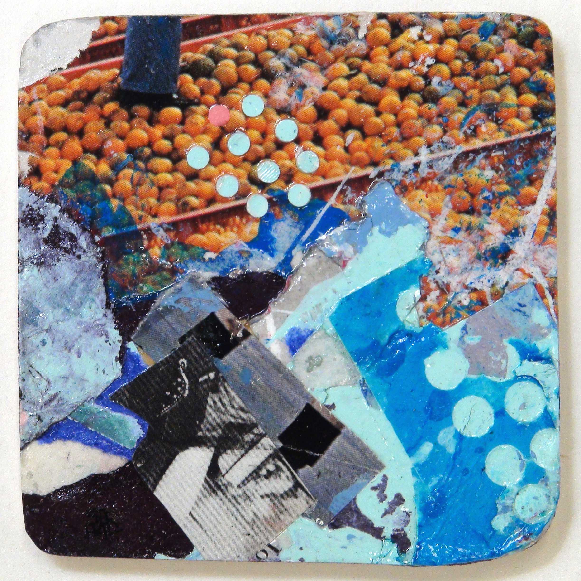 Orange Blossum Special.JPG