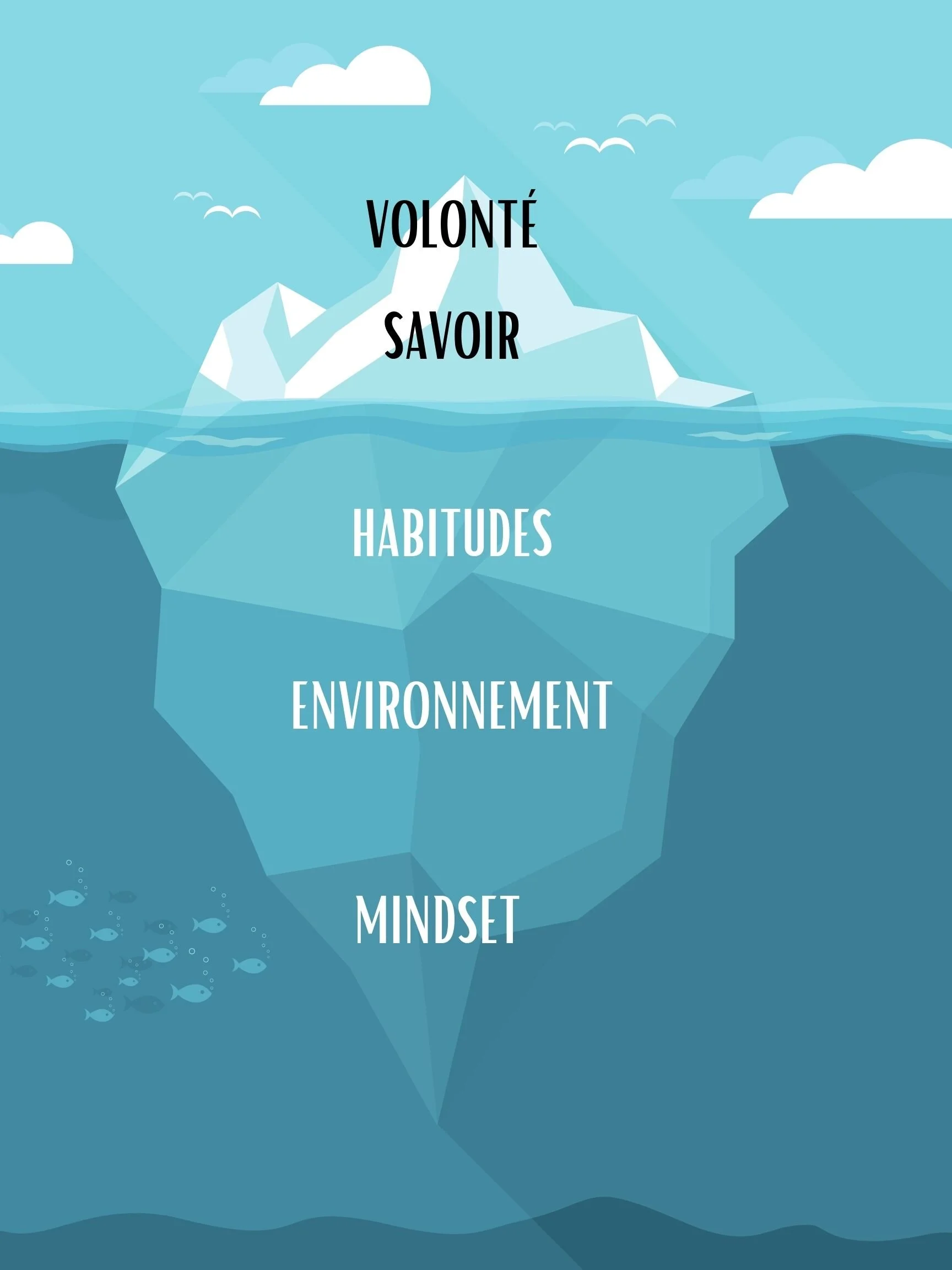 Iceberg du succès - CFSB.jpg