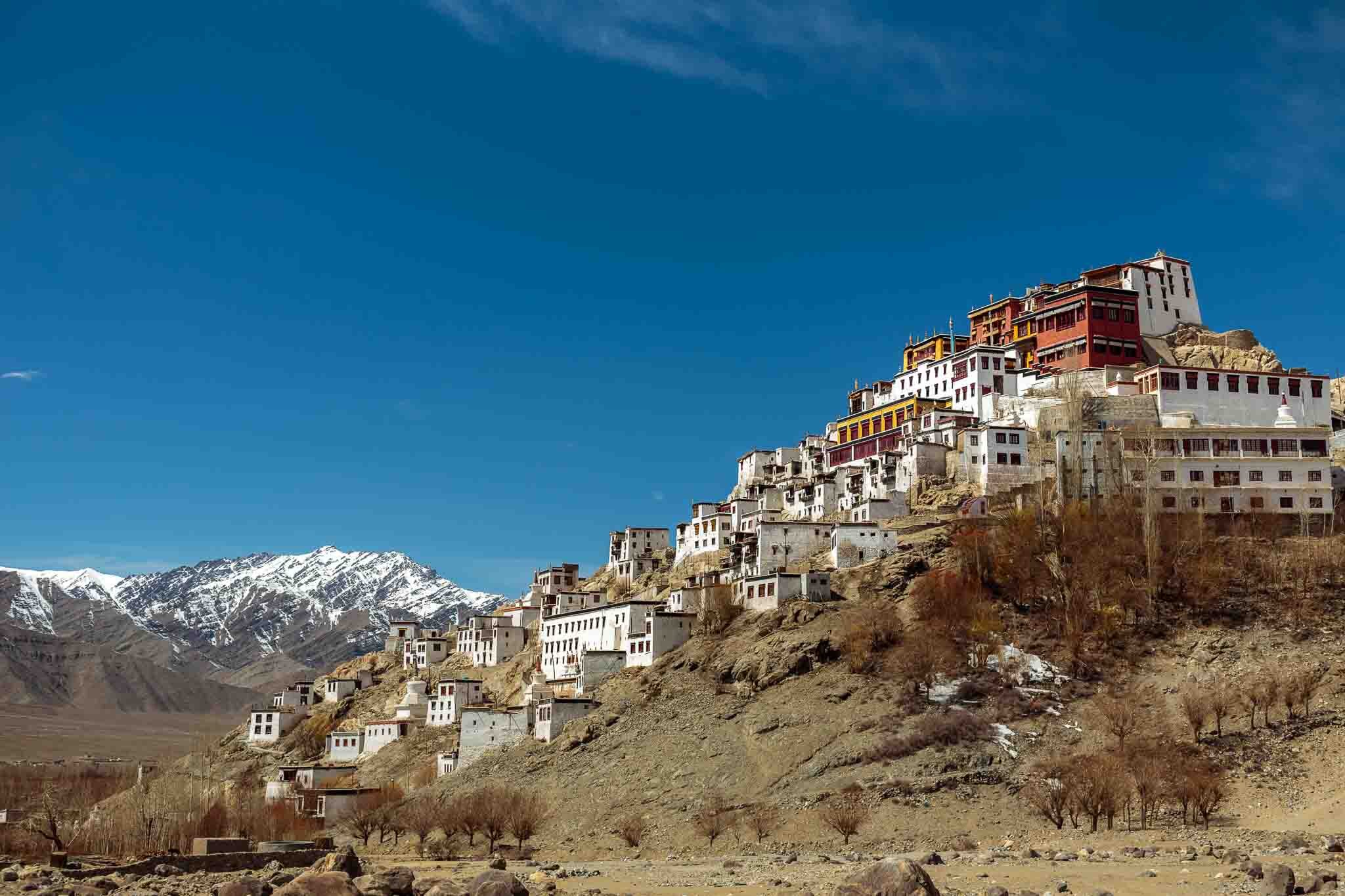 130317-Thiksey-Ladakh-India-113406.jpg